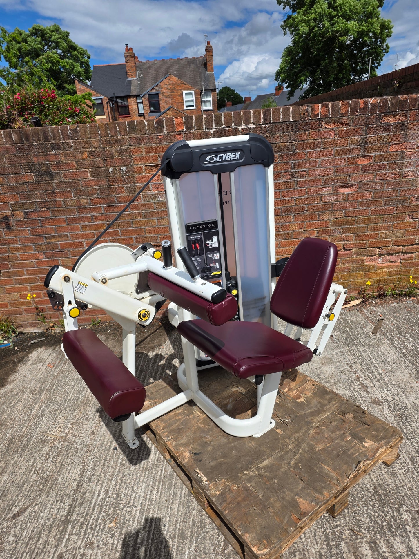 Cybex Prestige Seated Hamstring Curl Machine Commercial Gym Equipment