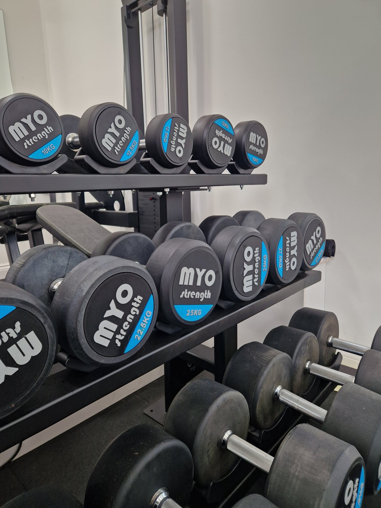 2.5kg - 40kg MYO Dumbells Set Commercial Gym Equipment