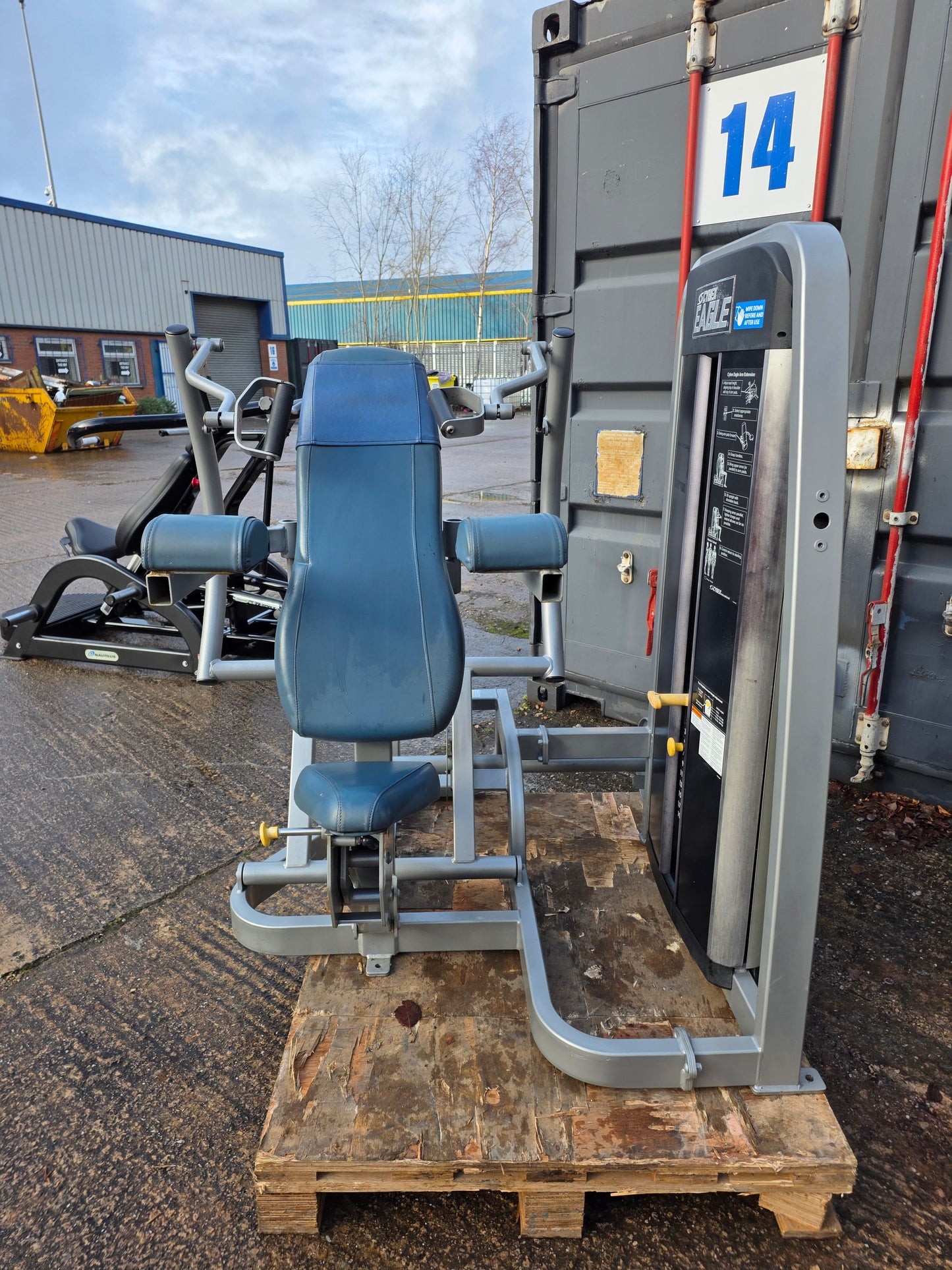 Cybex Eagle Tricep Extension Machine Commercial Gym Equipment