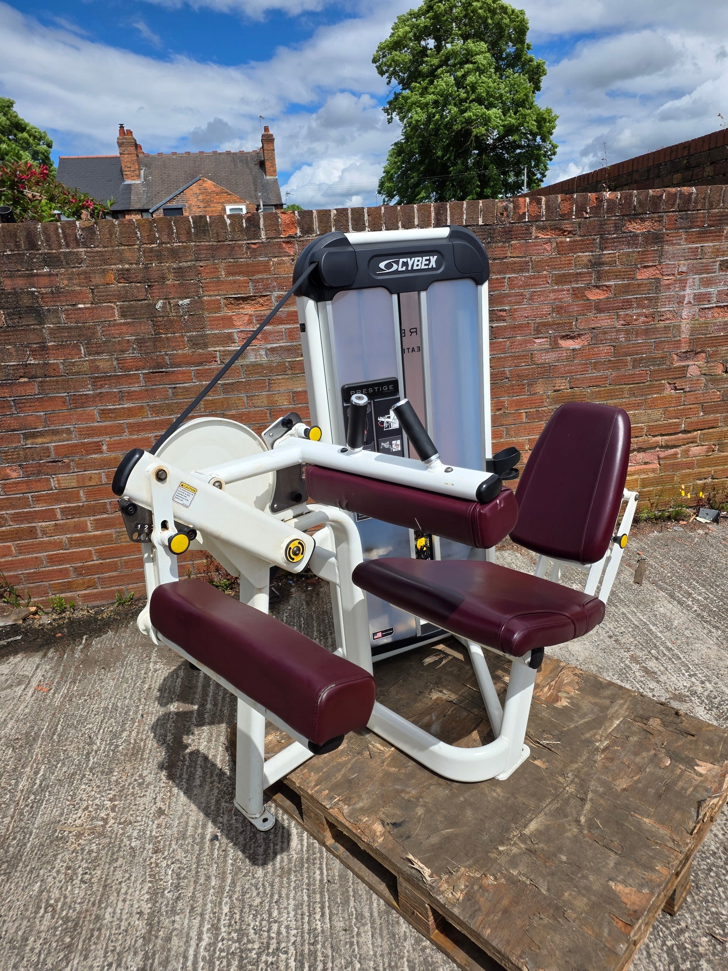 Cybex Prestige Seated Hamstring Curl Machine Commercial Gym Equipment