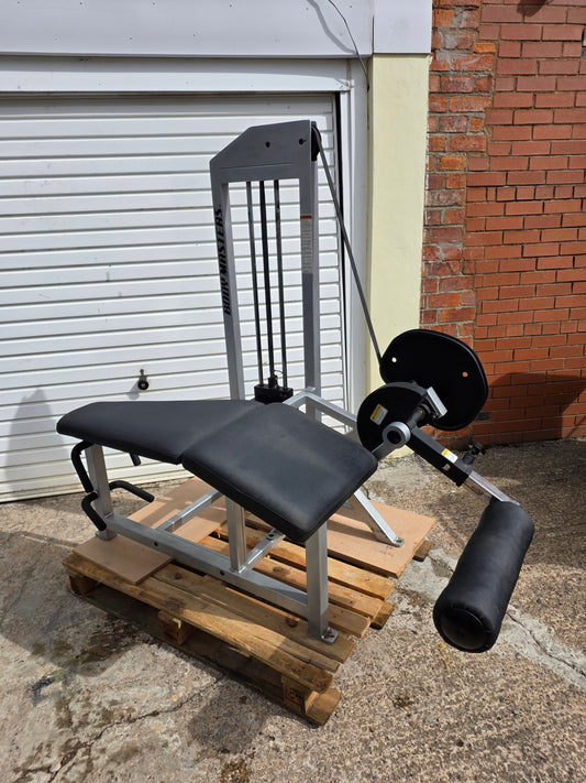 Bodymasters Lying Hamstring Curl Machine Commercial Gym Equipment