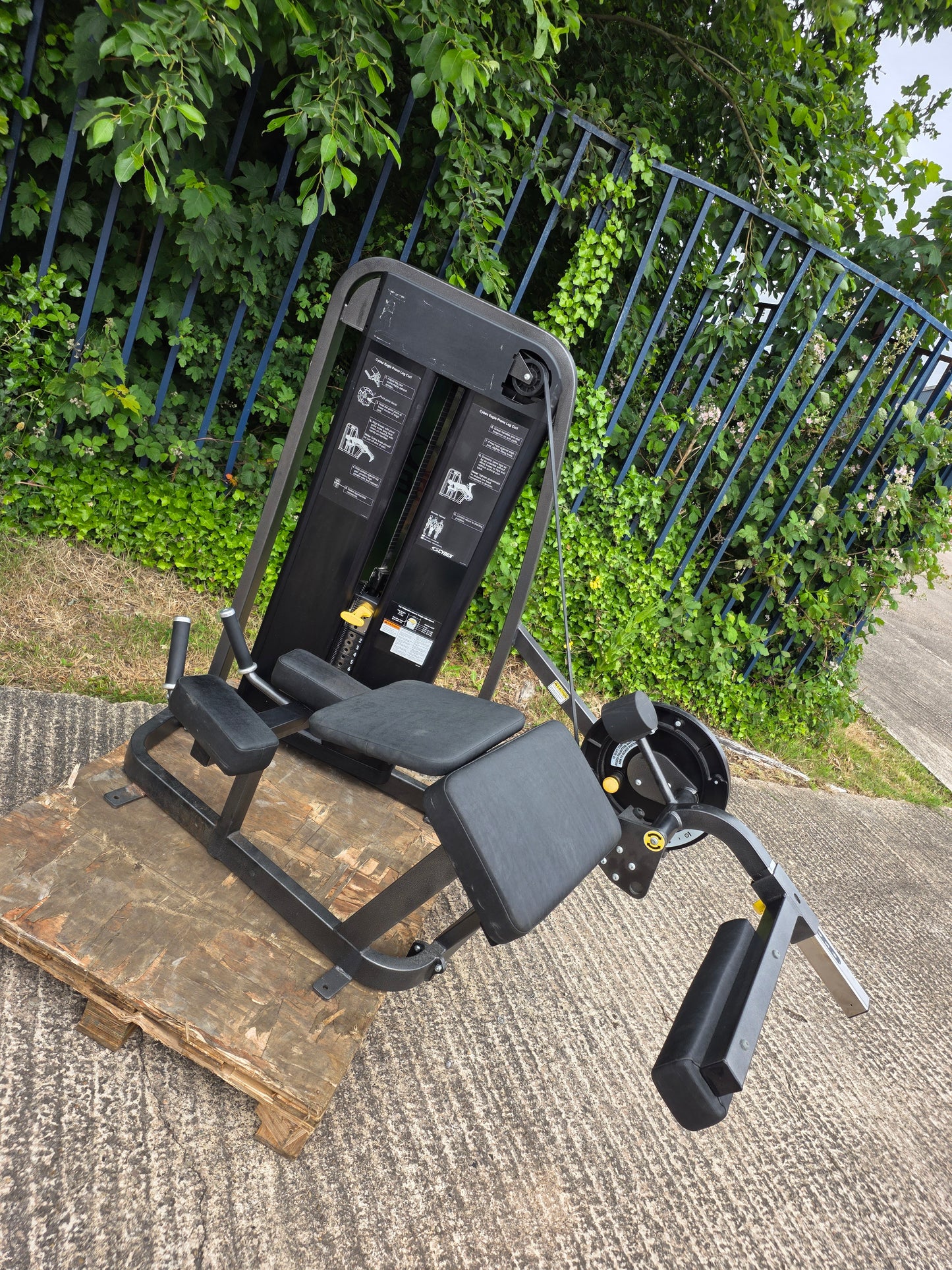 Cybex Eagle Lying Hamstring Curl Machine Commercial Gym Equipment 🦅