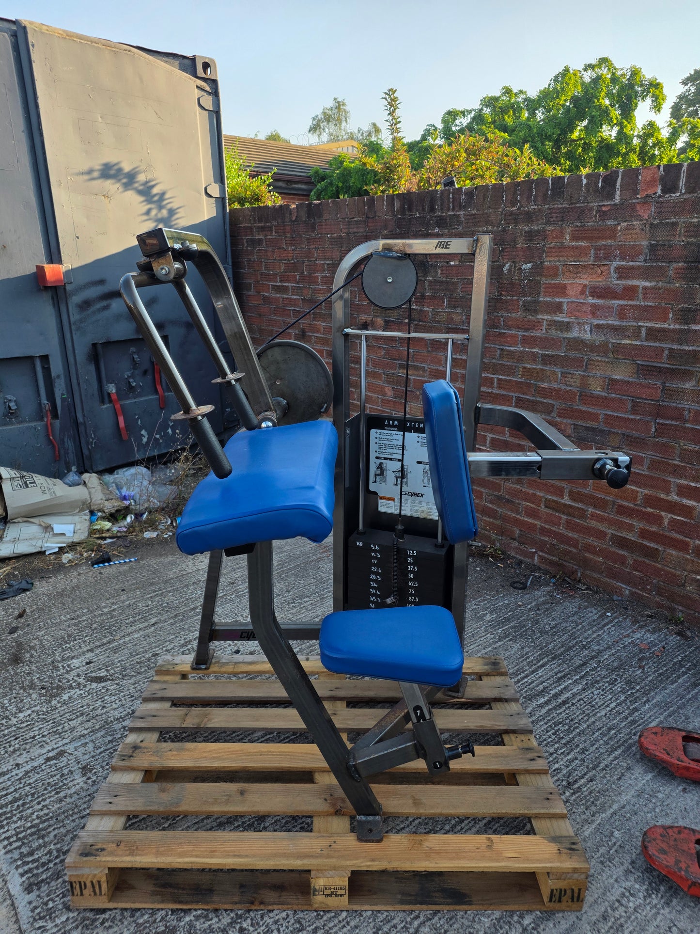 Cybex Tricep Extension Machine Commercial Gym Equipment