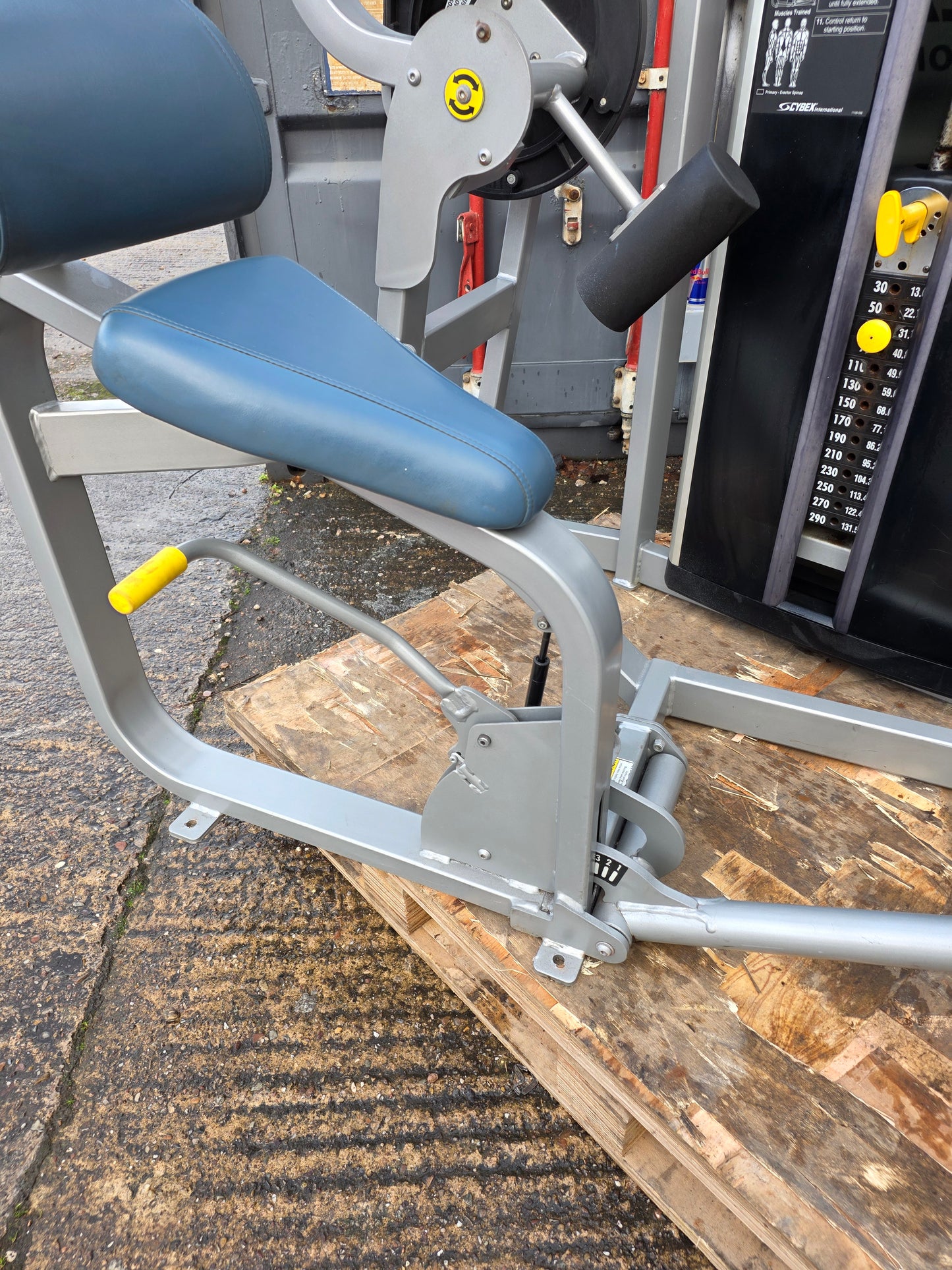 Cybex Eagle Lower Back Extension Machine Commercial Gym Equipment