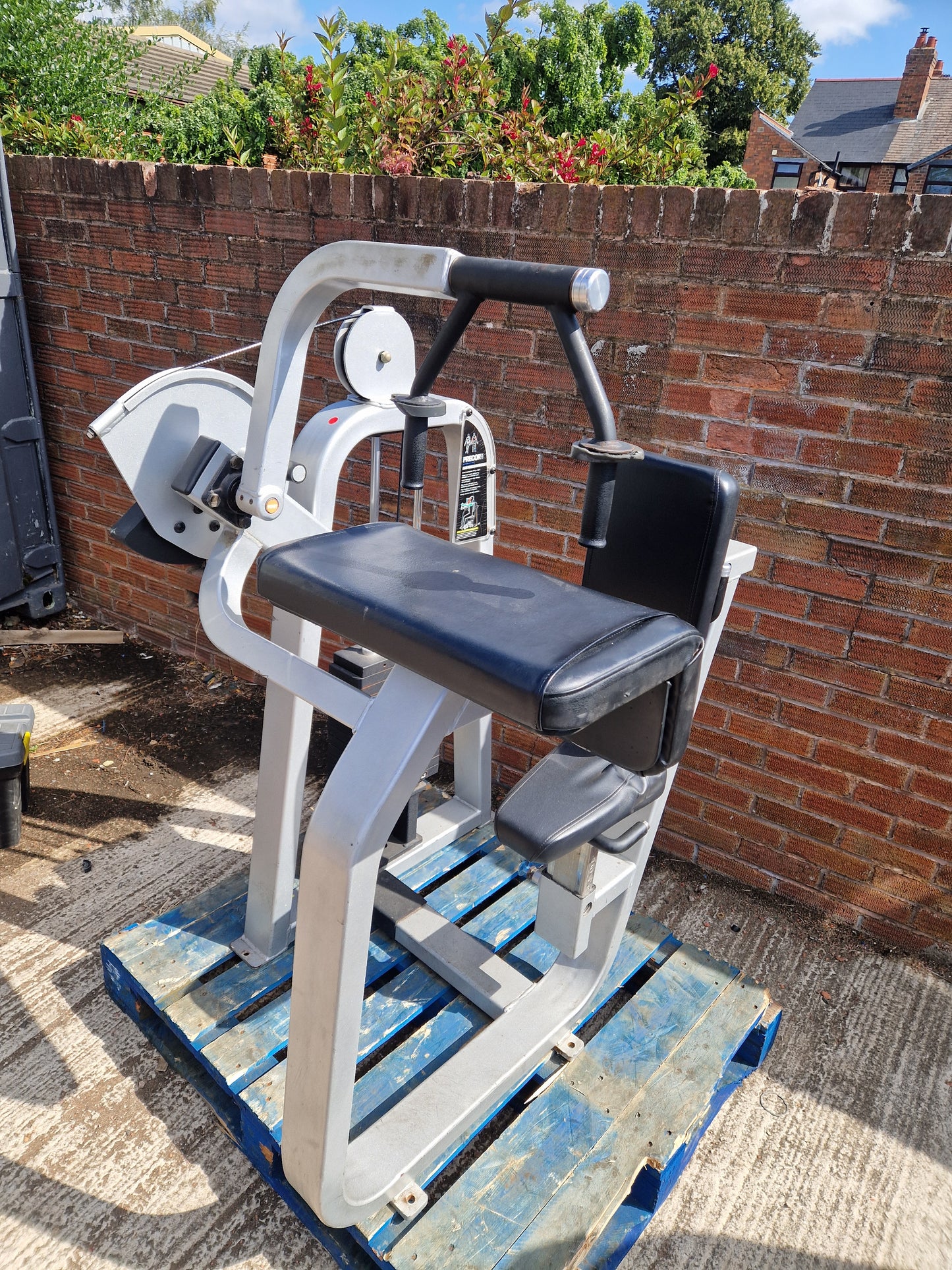 Precor Icarian Tricep Extension Machine Commercial Gym Equipment