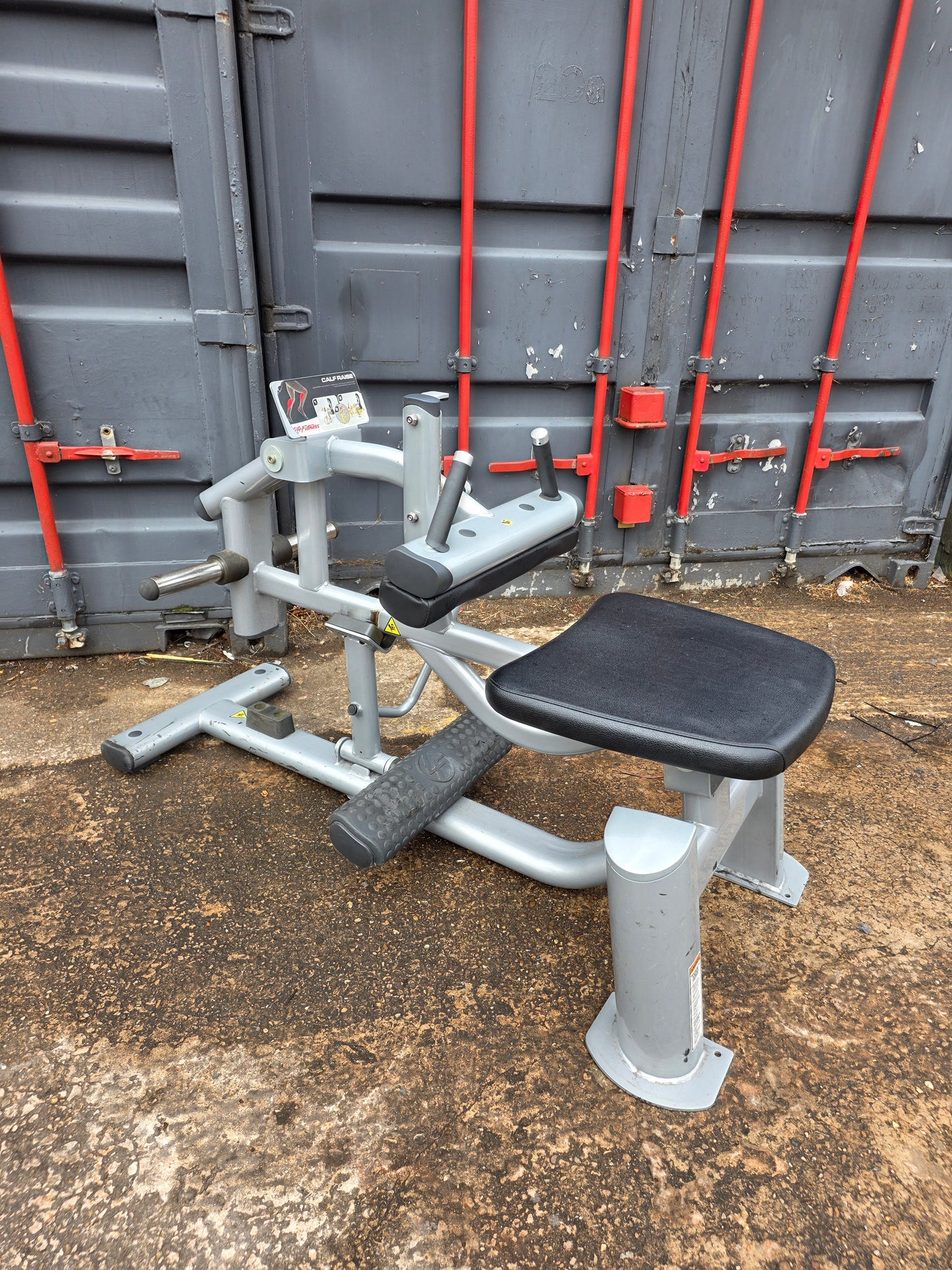 Life Fitness Calf Raise Machine Commercial Gym Equipment