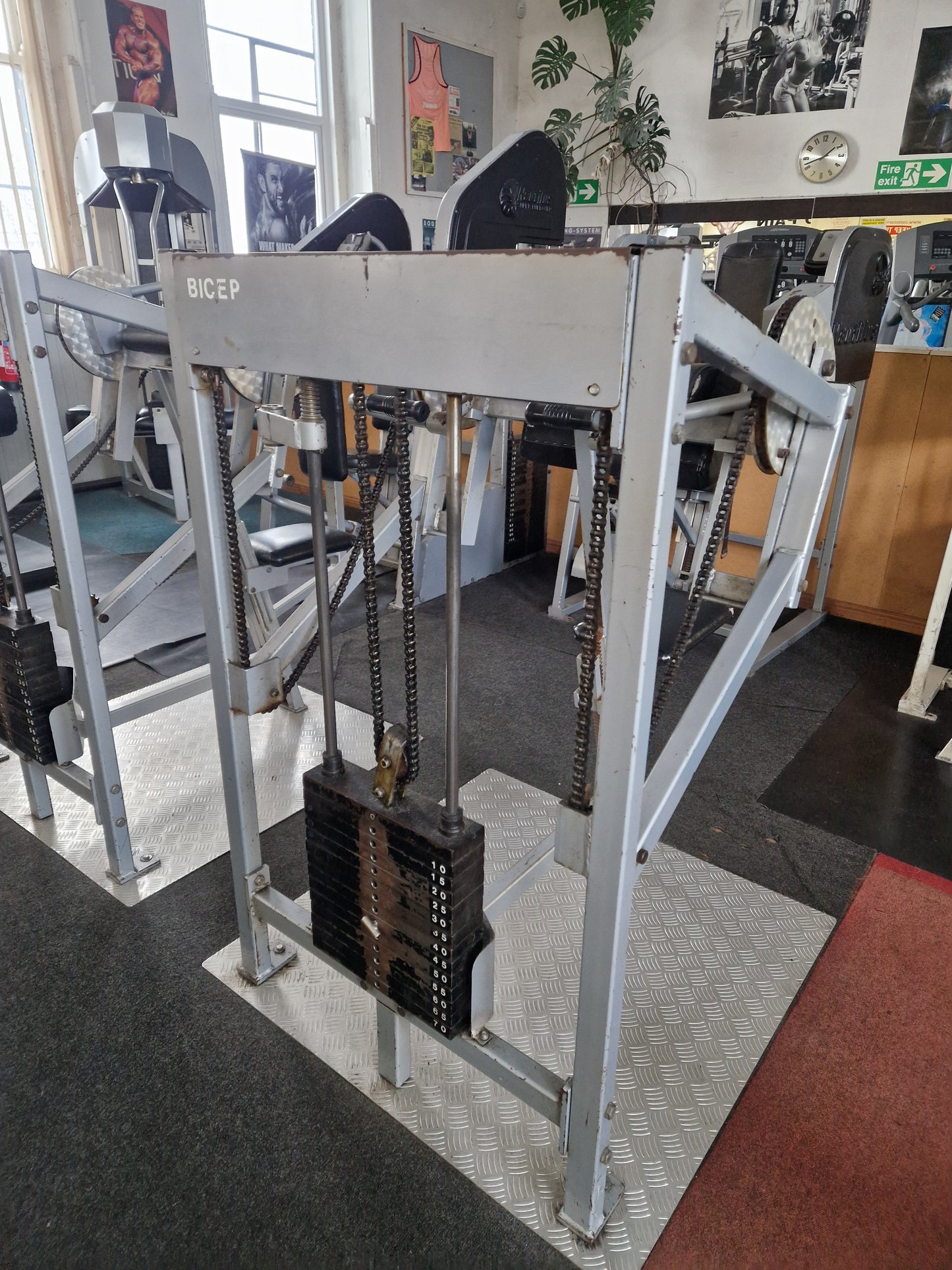 X2 Nautilus 1st Gen Bicep & Tricep Machines Commercial Gym Equipment