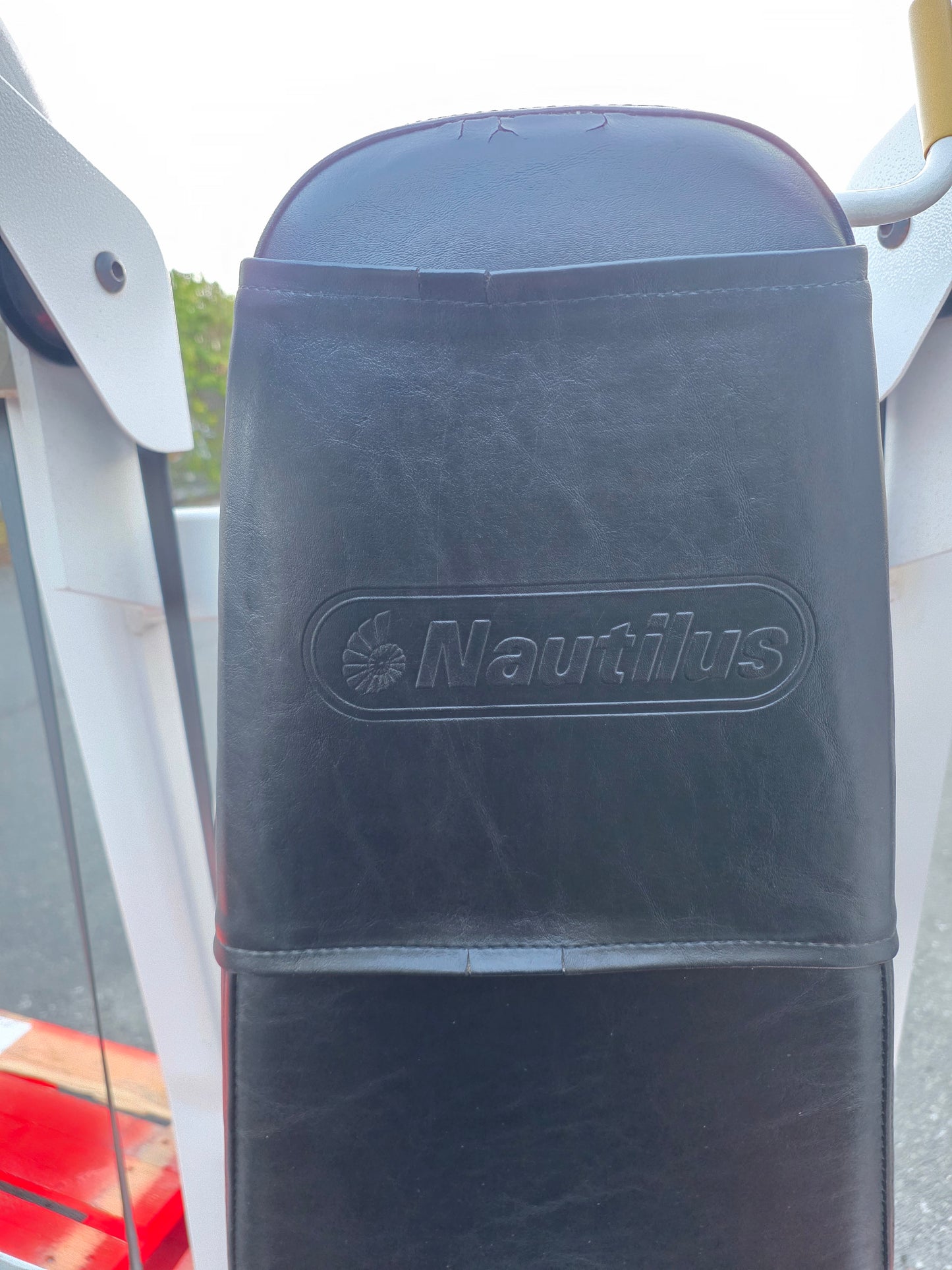 Nautilus Nitro Bicep Curl Machine Commercial Gym Equipment