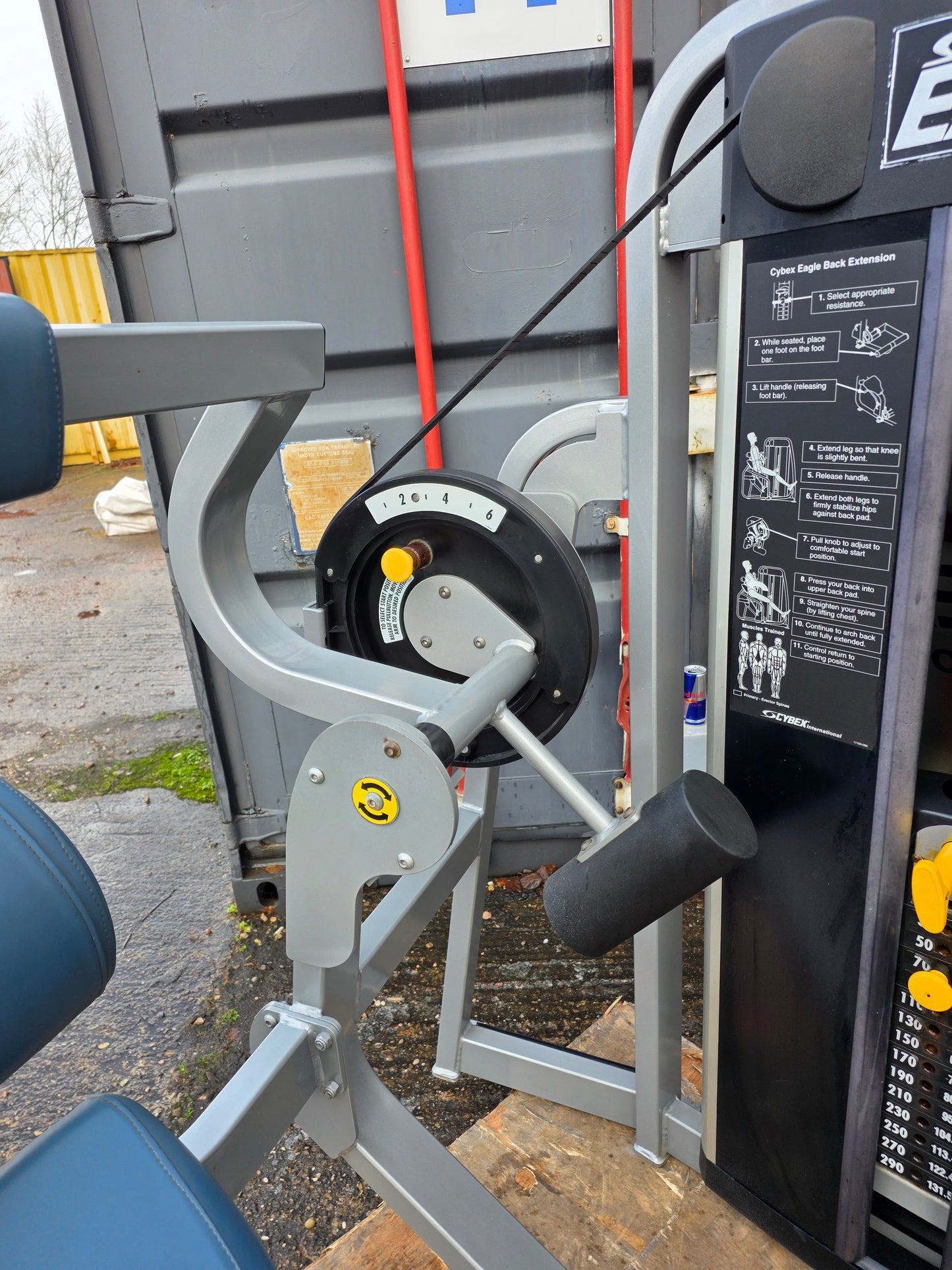 Cybex Eagle Lower Back Extension Machine Commercial Gym Equipment