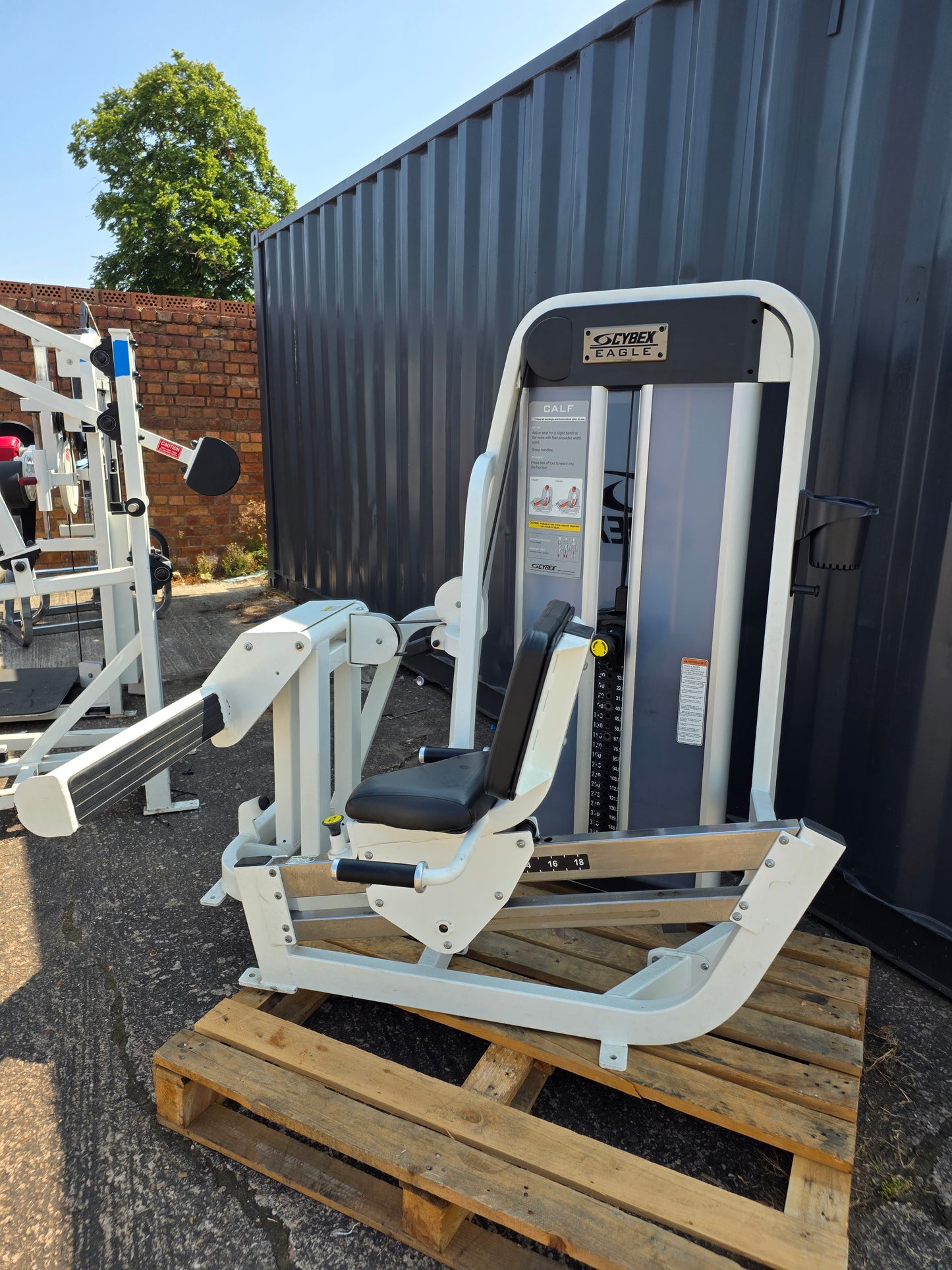 Cybex Eagle Horizontal Calf Raise Machine Commercial Gym Equipment