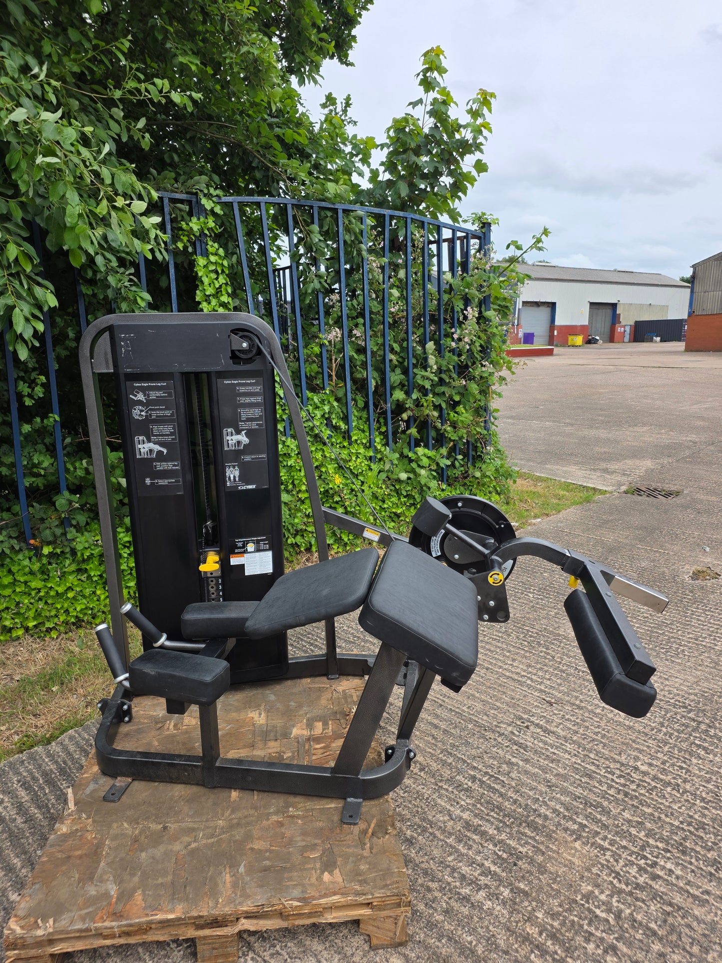 Cybex Eagle Lying Hamstring Curl Machine Commercial Gym Equipment 🦅