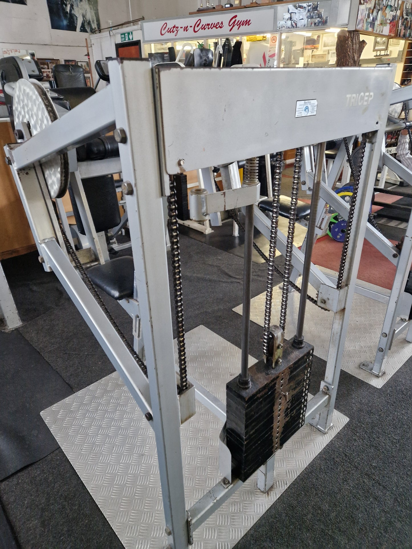 X2 Nautilus 1st Gen Bicep & Tricep Machines Commercial Gym Equipment