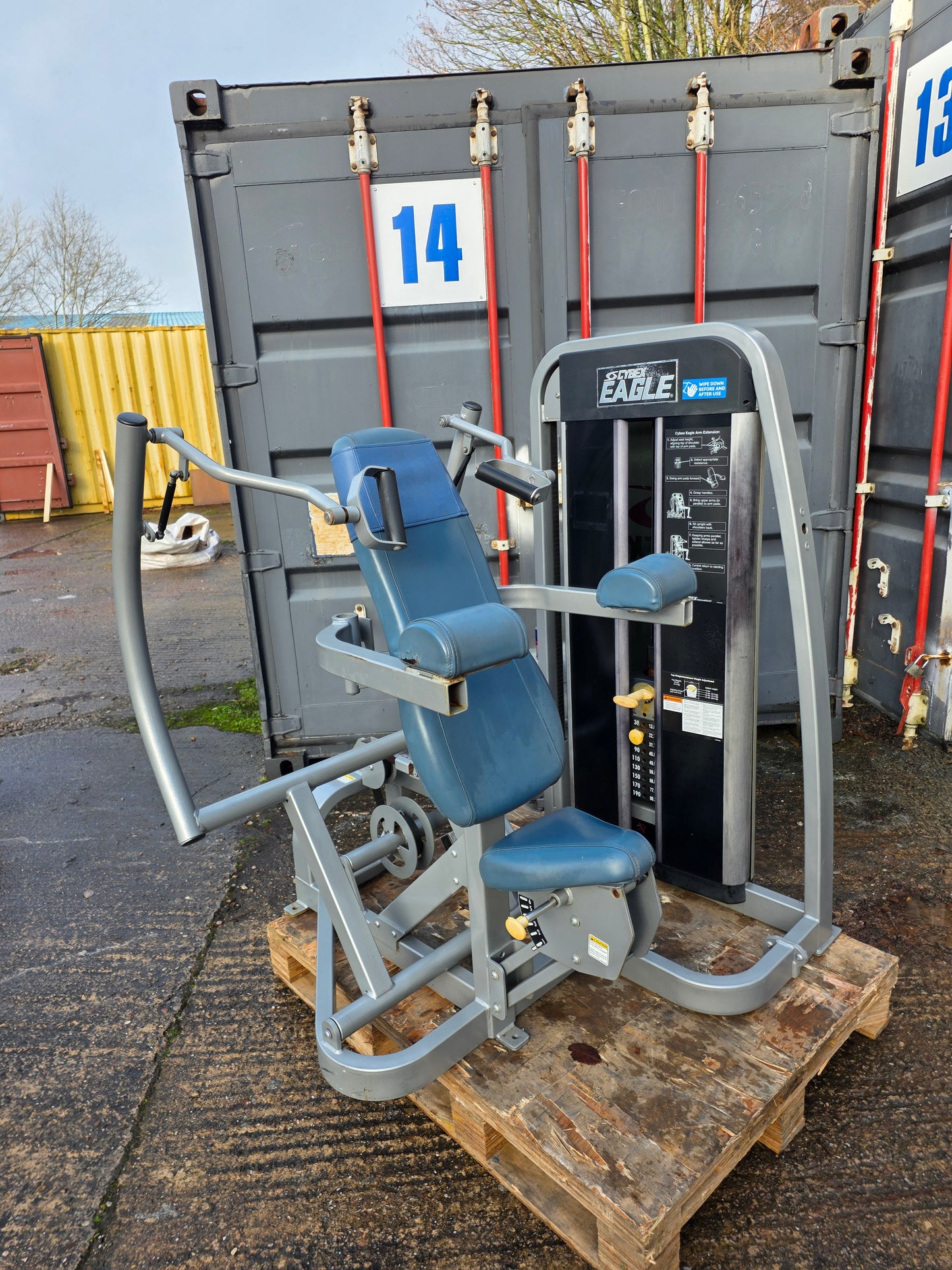 Cybex Eagle Tricep Extension Machine Commercial Gym Equipment