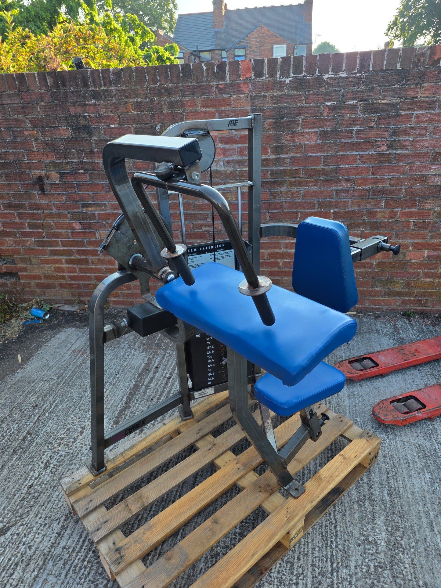 Cybex Tricep Extension Machine Commercial Gym Equipment