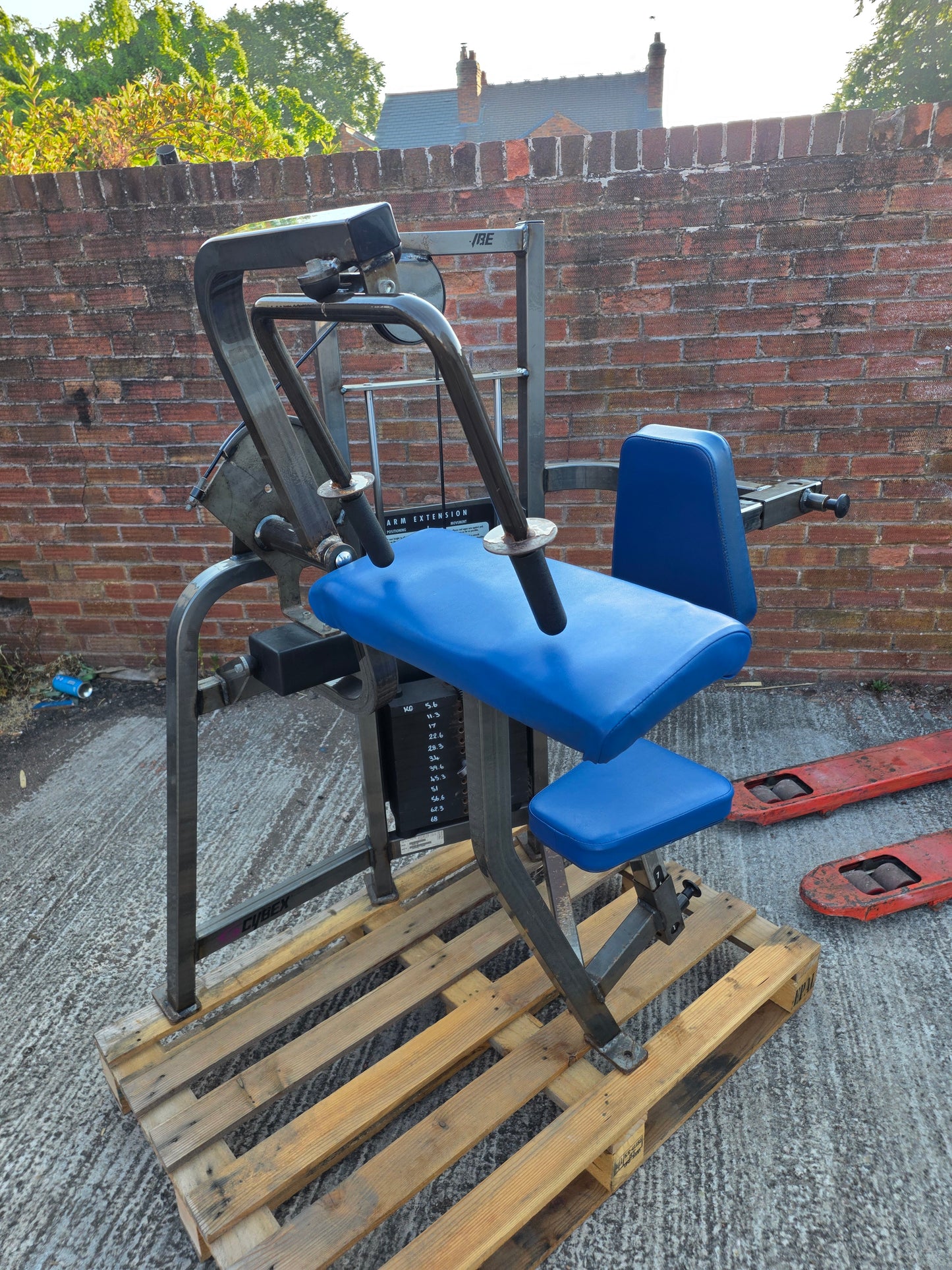 Cybex Tricep Extension Machine Commercial Gym Equipment