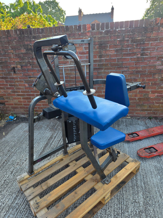 Cybex Tricep Extension Machine Commercial Gym Equipment