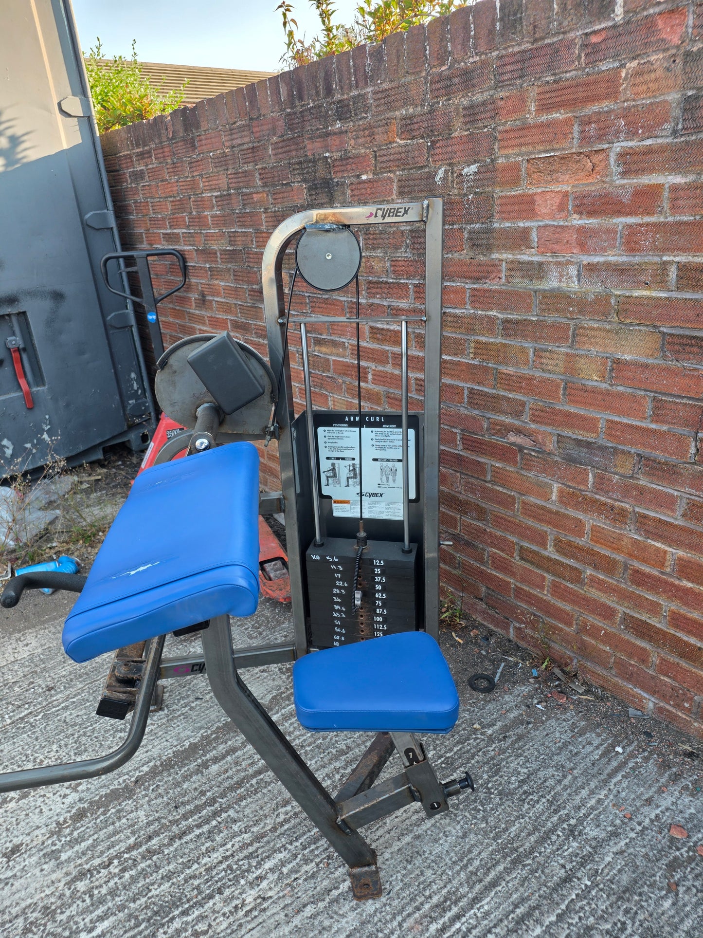 Cybex Bicep Curl Machine Commercial Gym Equipment