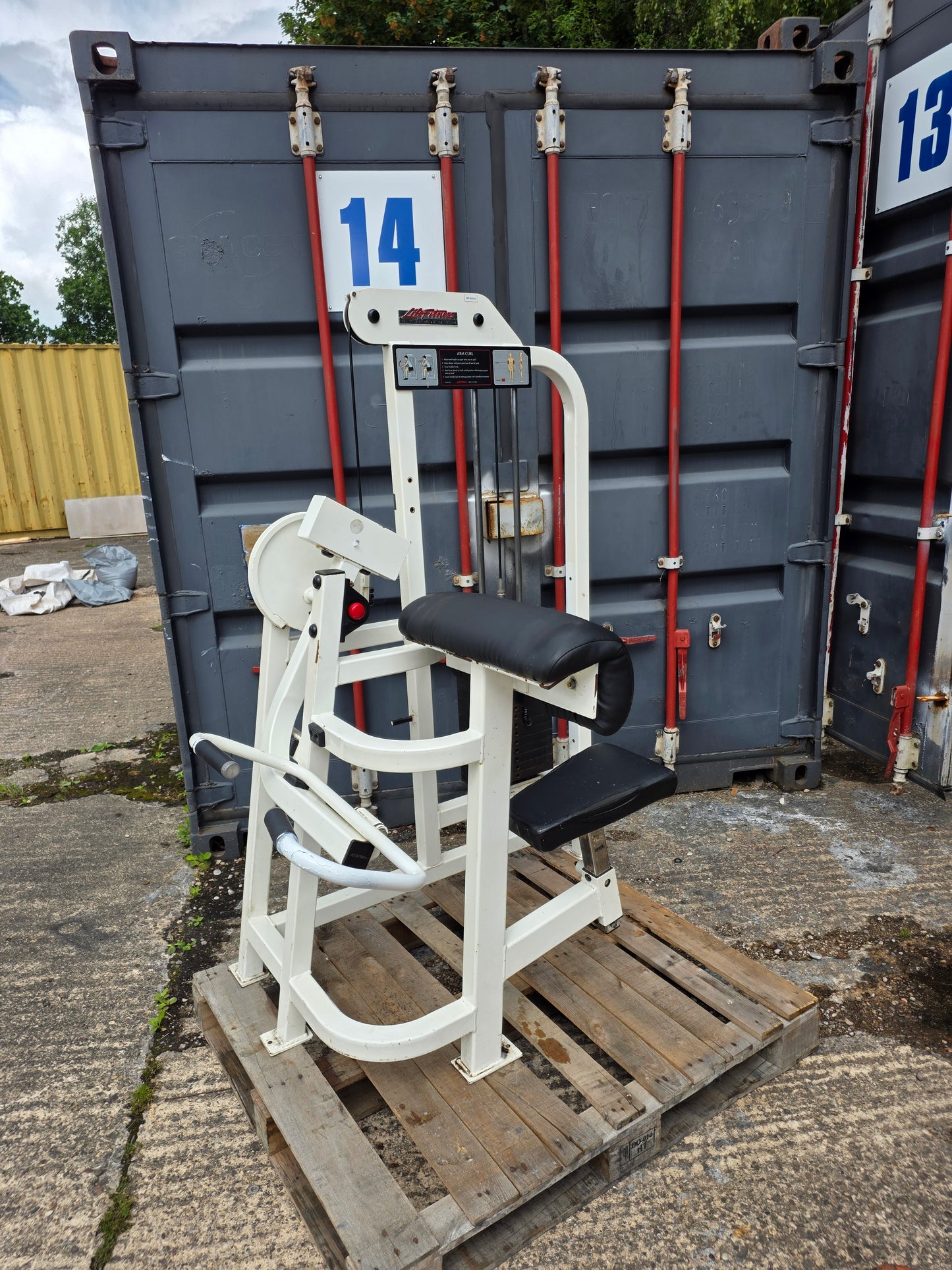 Life Fitness Pro 1 Bicep Curl Machine Commercial Gym Equipment