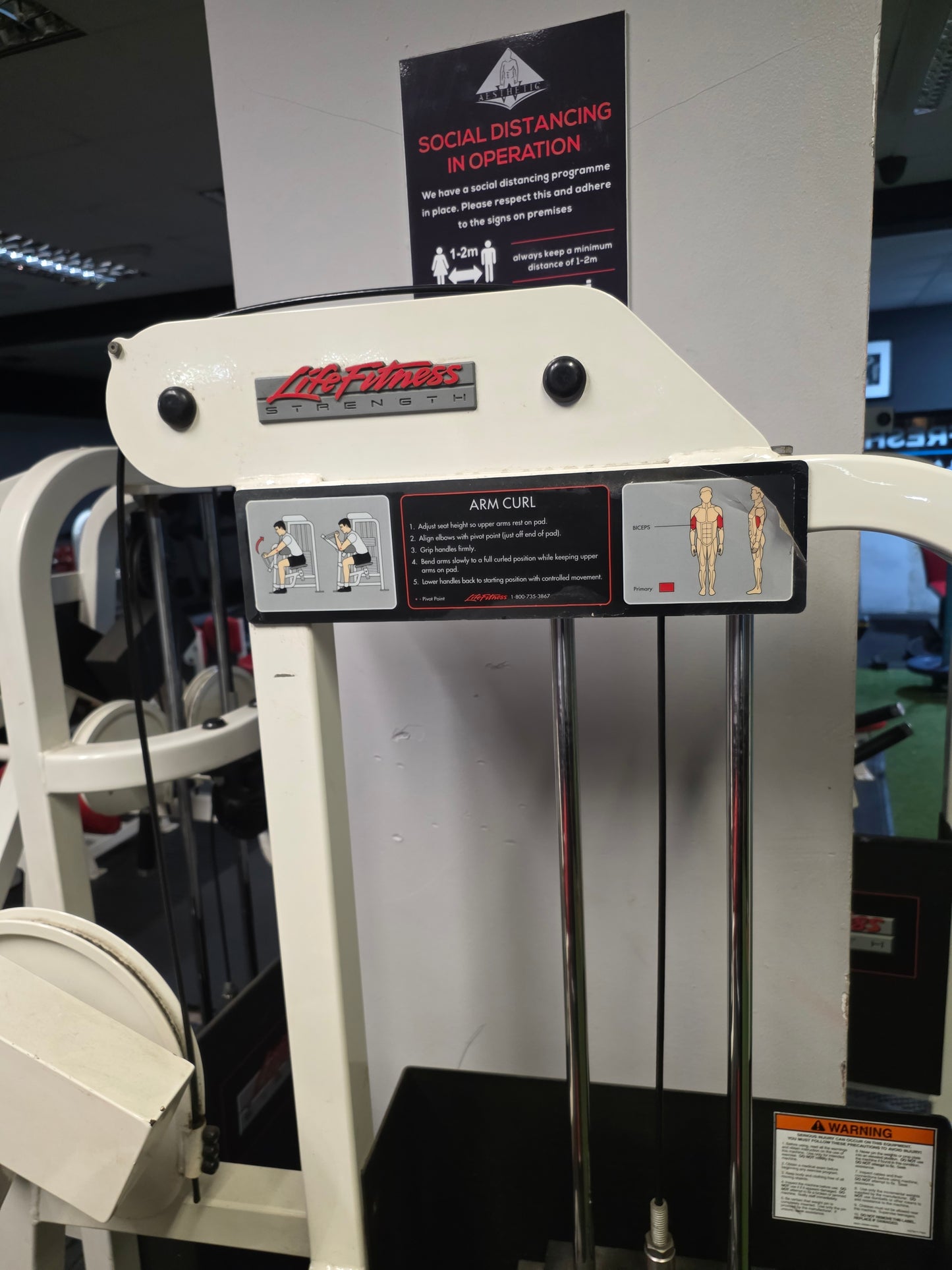 Life Fitness Pro 1 Bicep Curl Machine Commercial Gym Equipment