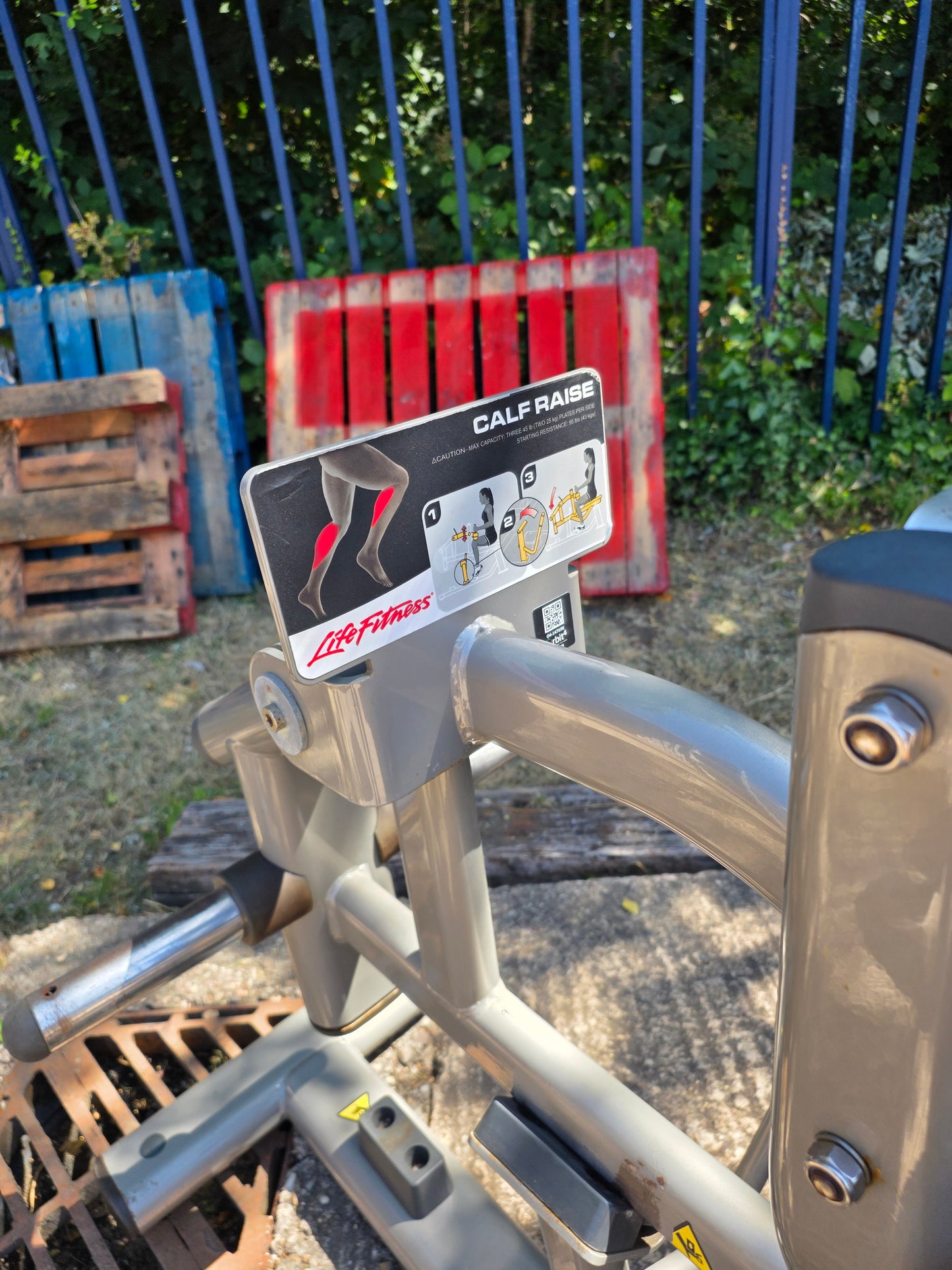 Life Fitness Calf Raise Machine Commercial Gym Equipment