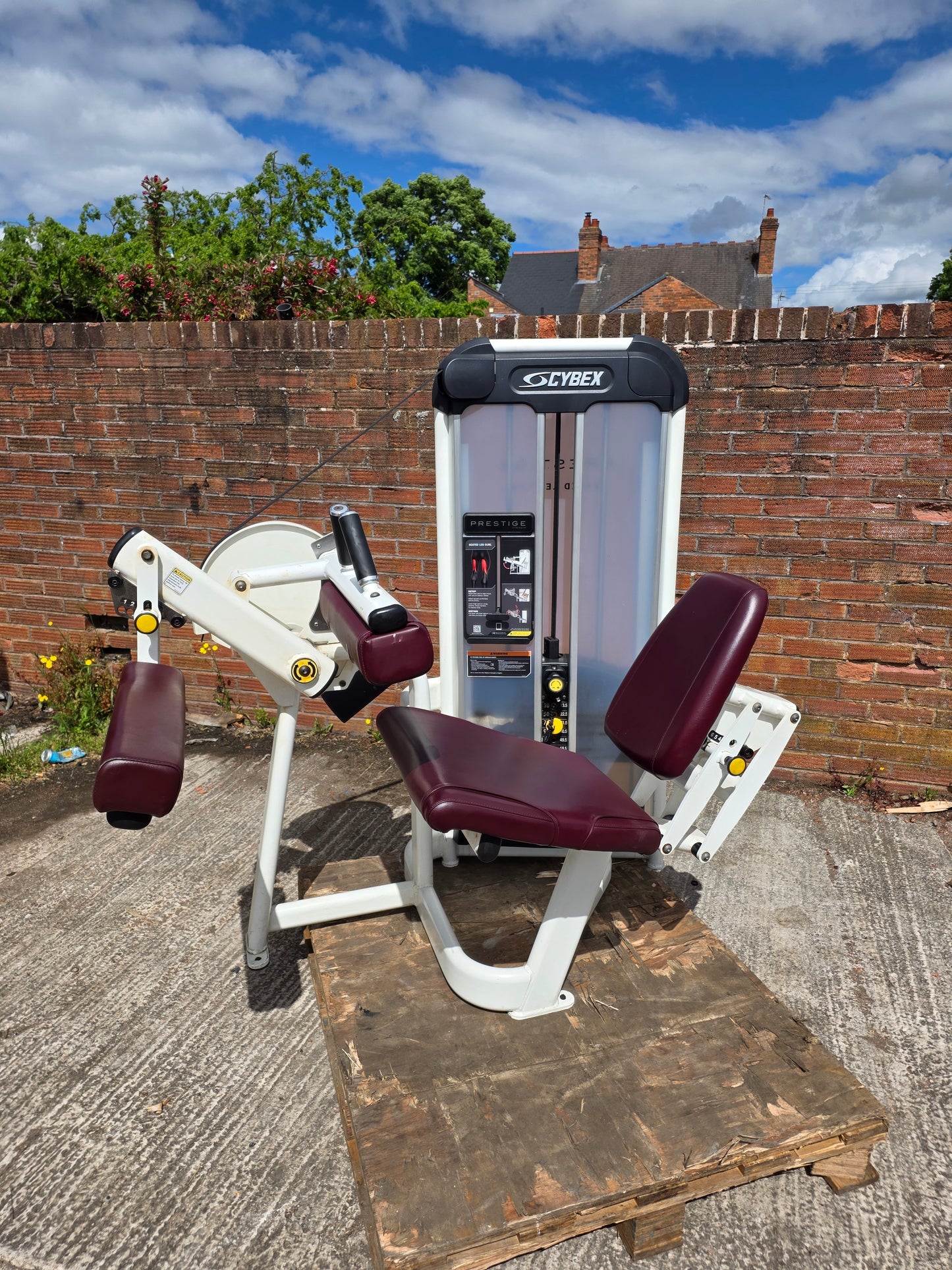 Cybex Prestige Seated Hamstring Curl Machine Commercial Gym Equipment