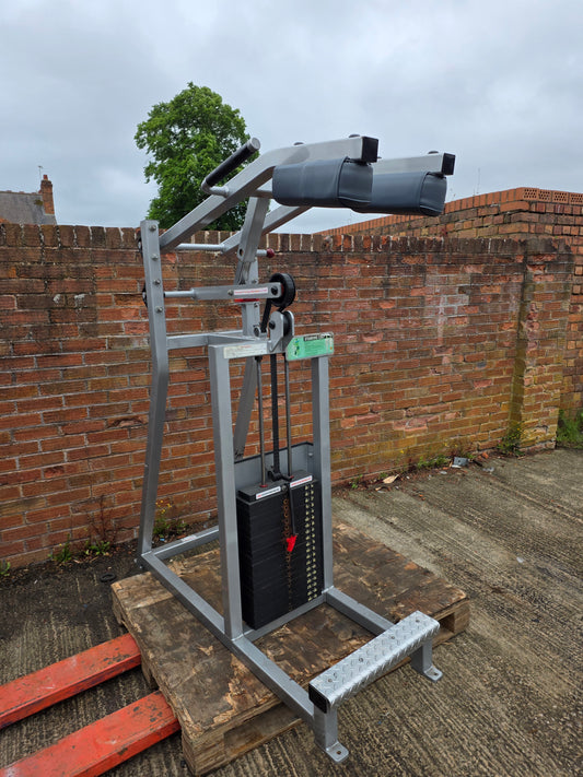 Flex Fitness Standing Calf Raise Machine Commercial Gym Equipment