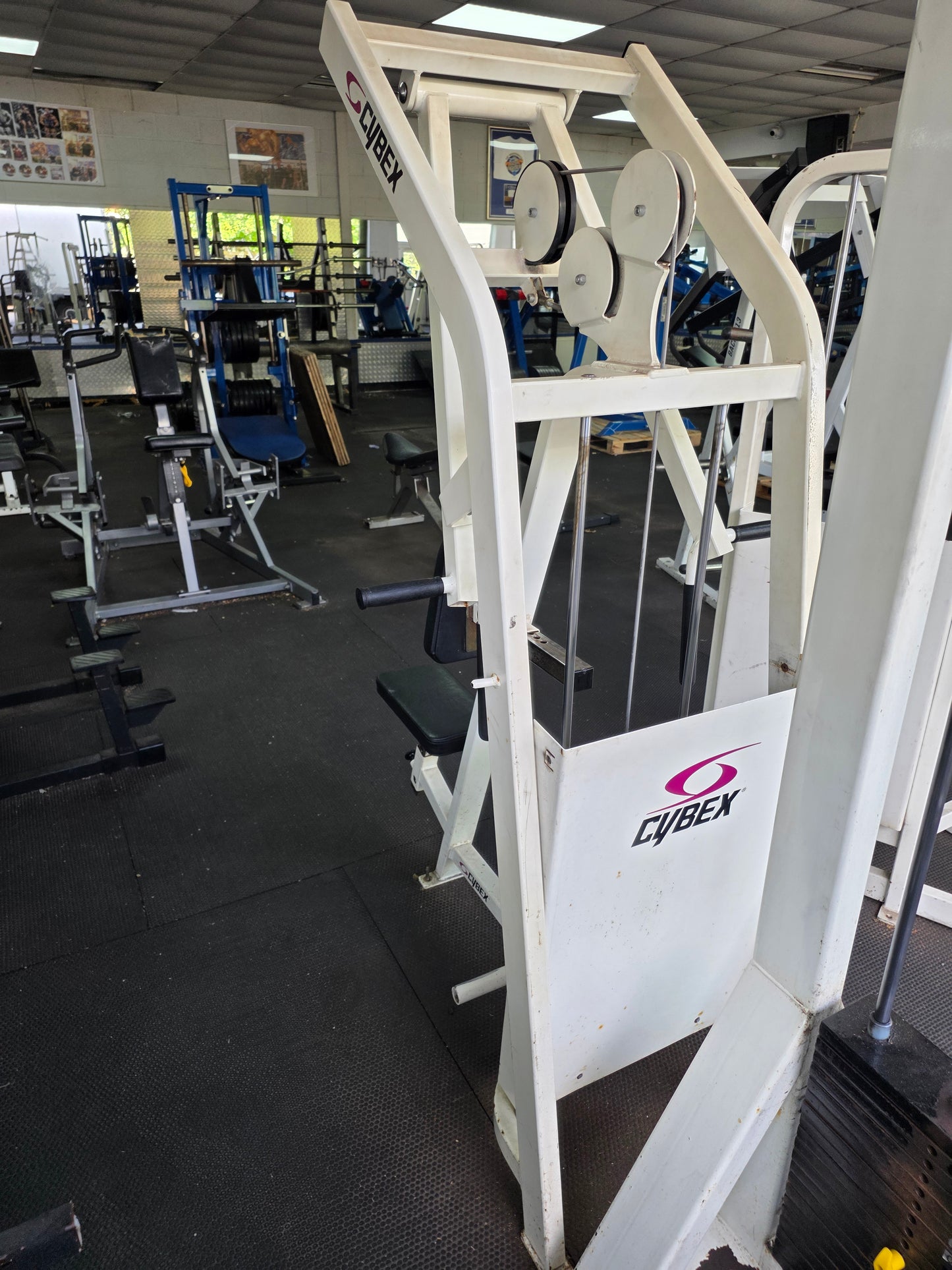 Cybex Classic Back Row Machine Commercial Gym Equipment