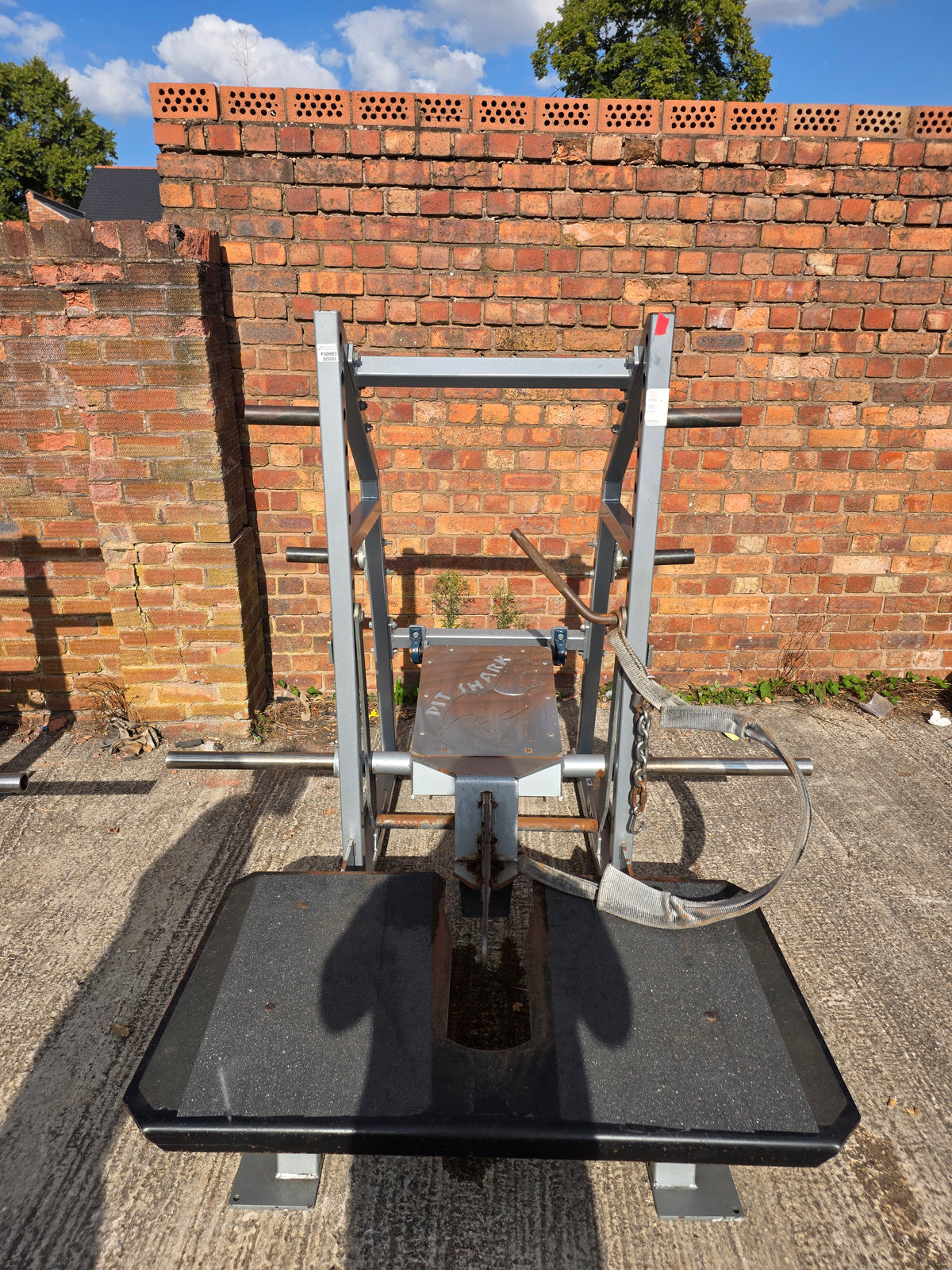 Pitshark Belt Squat Machine Commercial Gym Equipment