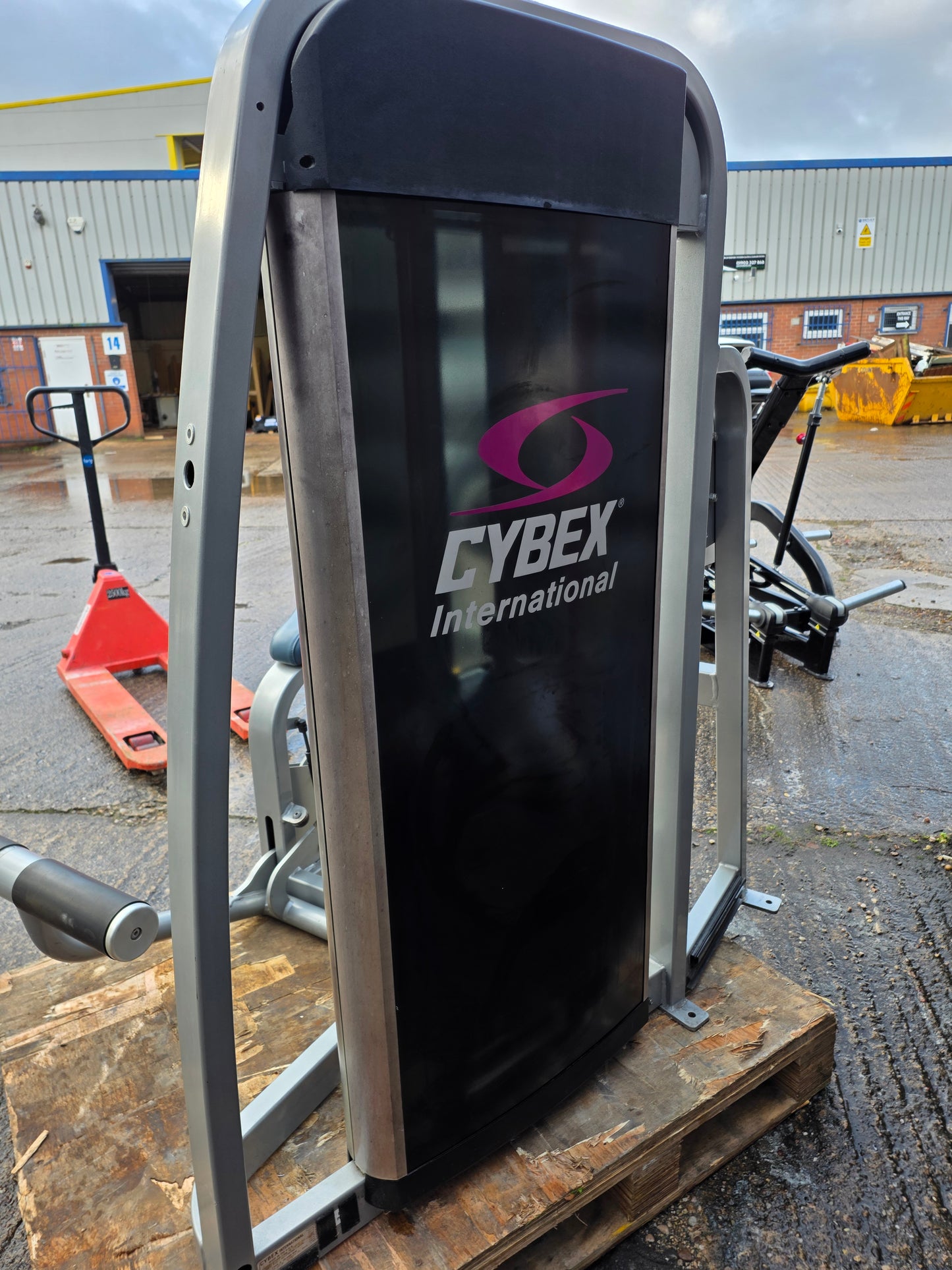 Cybex Eagle Lower Back Extension Machine Commercial Gym Equipment