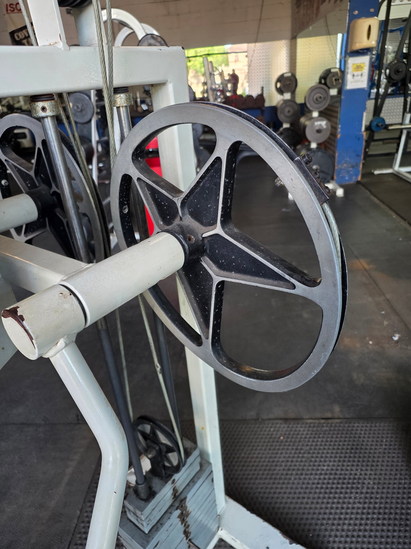 Polaris Lateral Raise Machine Commercial Gym Equipment