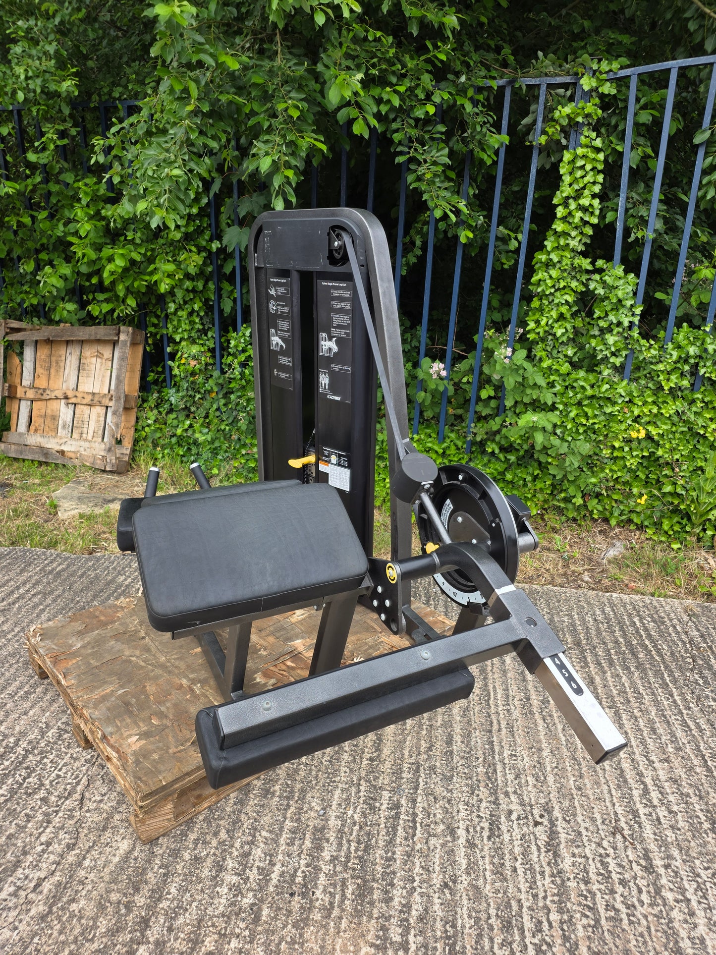 Cybex Eagle Lying Hamstring Curl Machine Commercial Gym Equipment 🦅