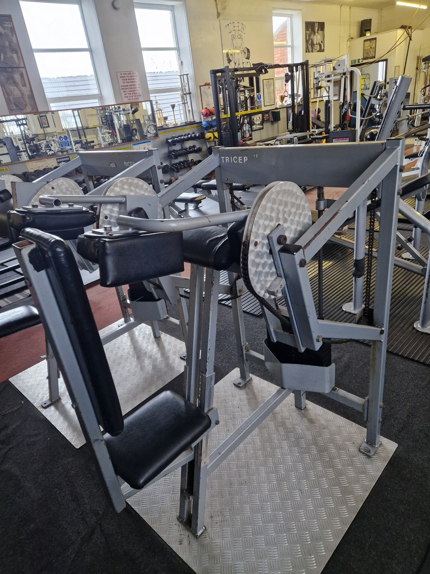 X2 Nautilus 1st Gen Bicep & Tricep Machines Commercial Gym Equipment