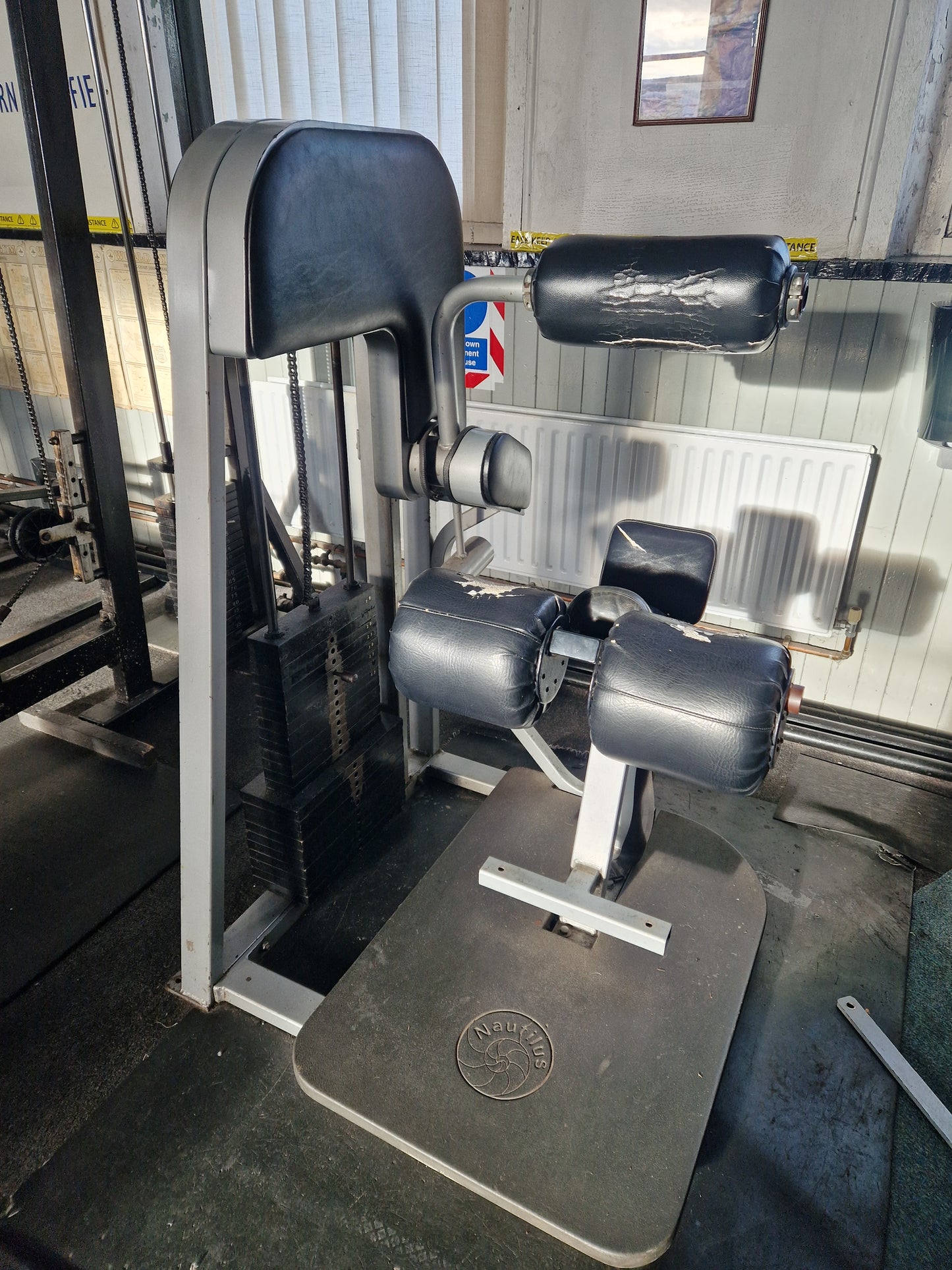 Nautilus Lower Back Extension Machine 1st Gen Commercial Gym Equipment