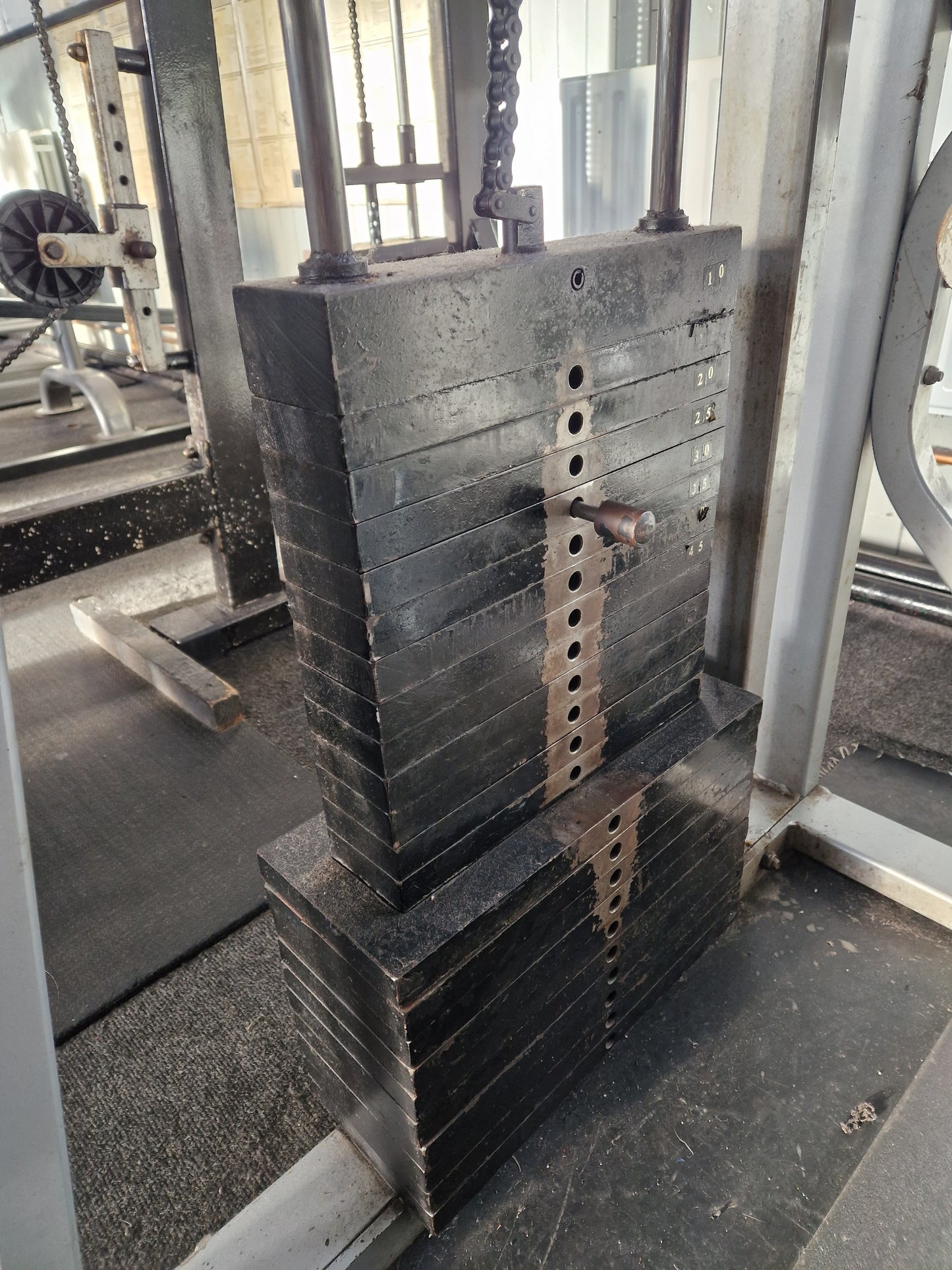 Nautilus Lower Back Extension Machine 1st Gen Commercial Gym Equipment
