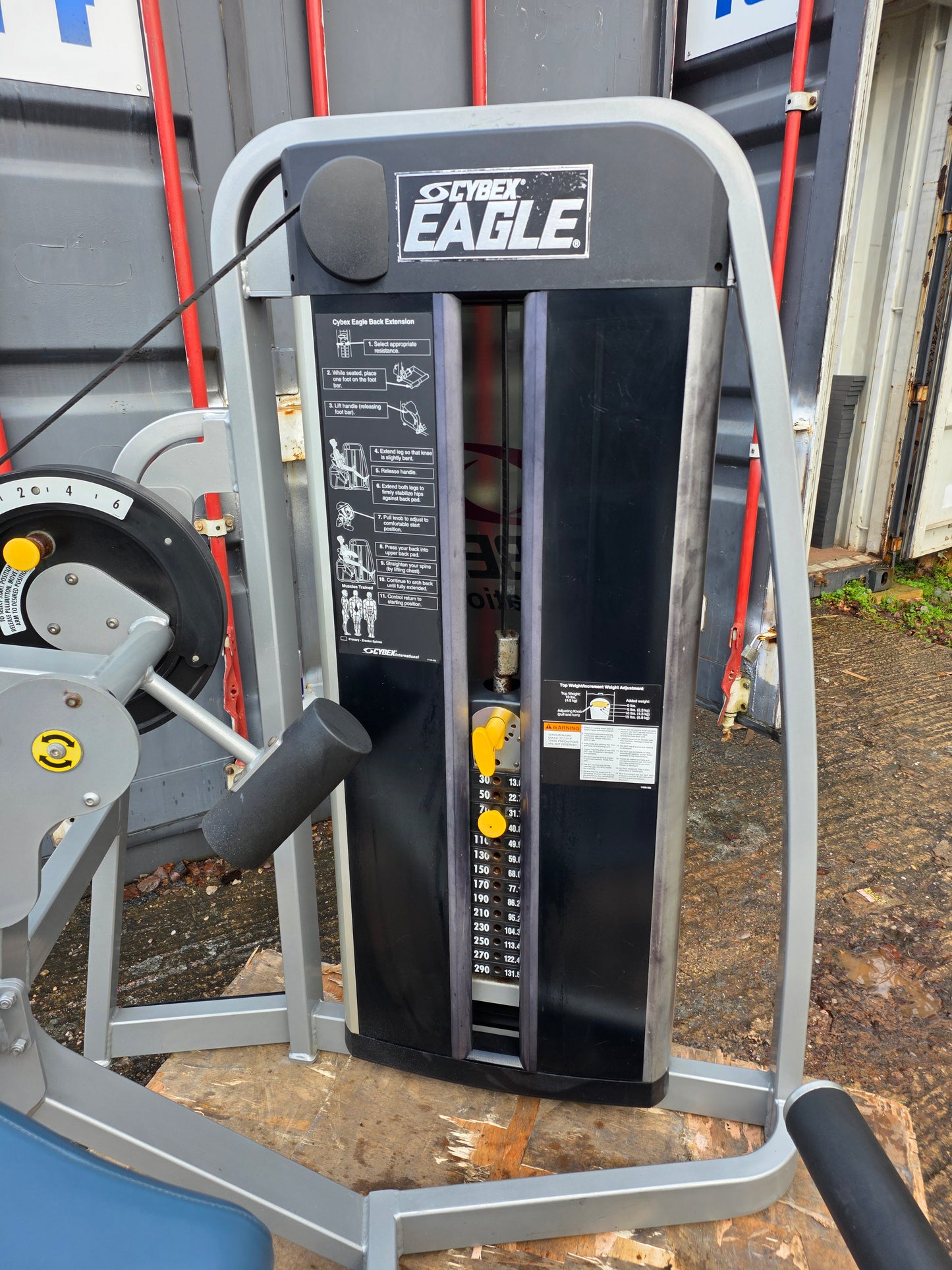 Cybex Eagle Lower Back Extension Machine Commercial Gym Equipment