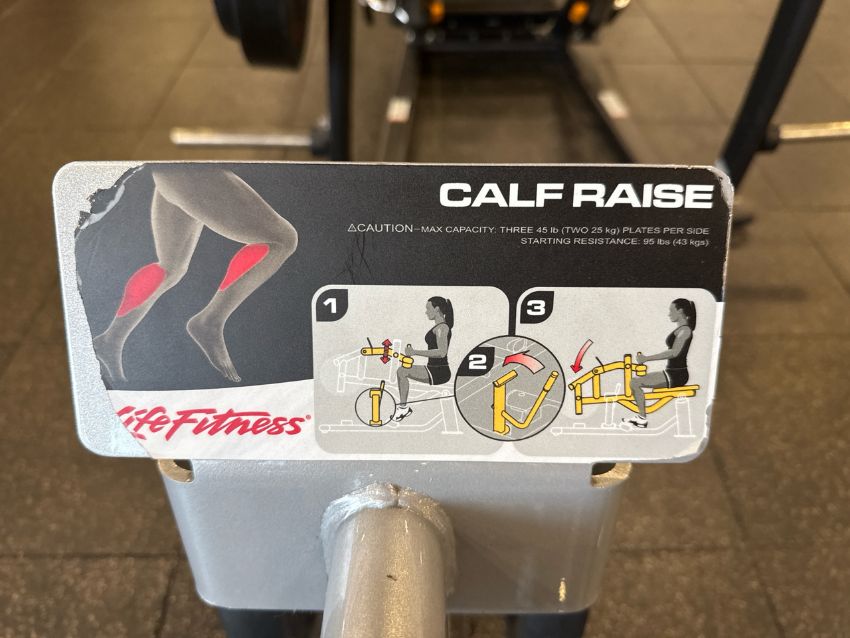 Life Fitness Calf Raise Machine Commercial Gym Equipment