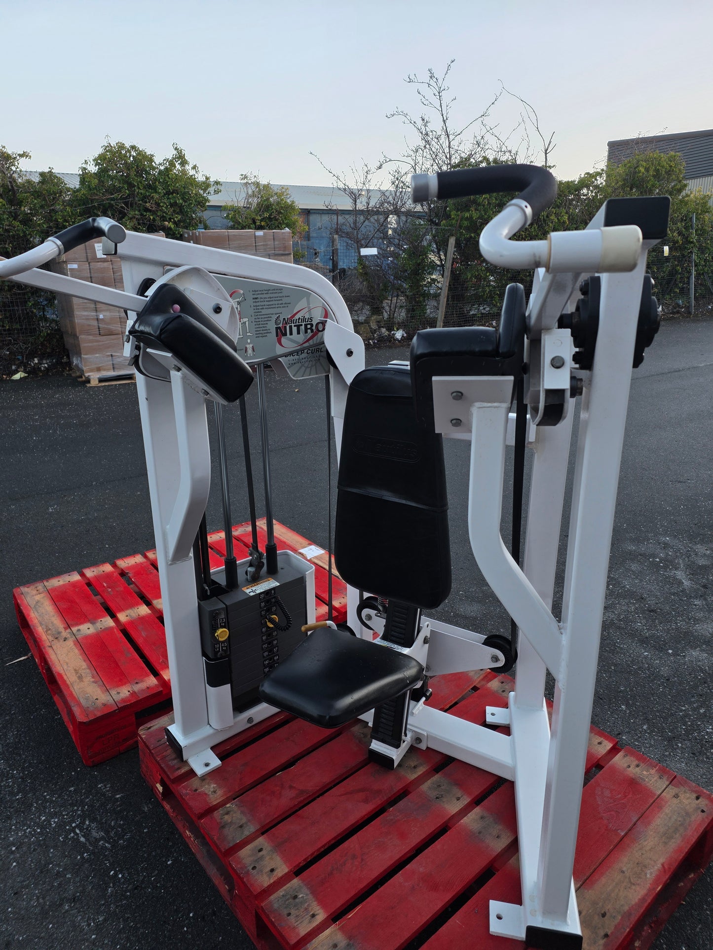 Nautilus Nitro Bicep Curl Machine Commercial Gym Equipment