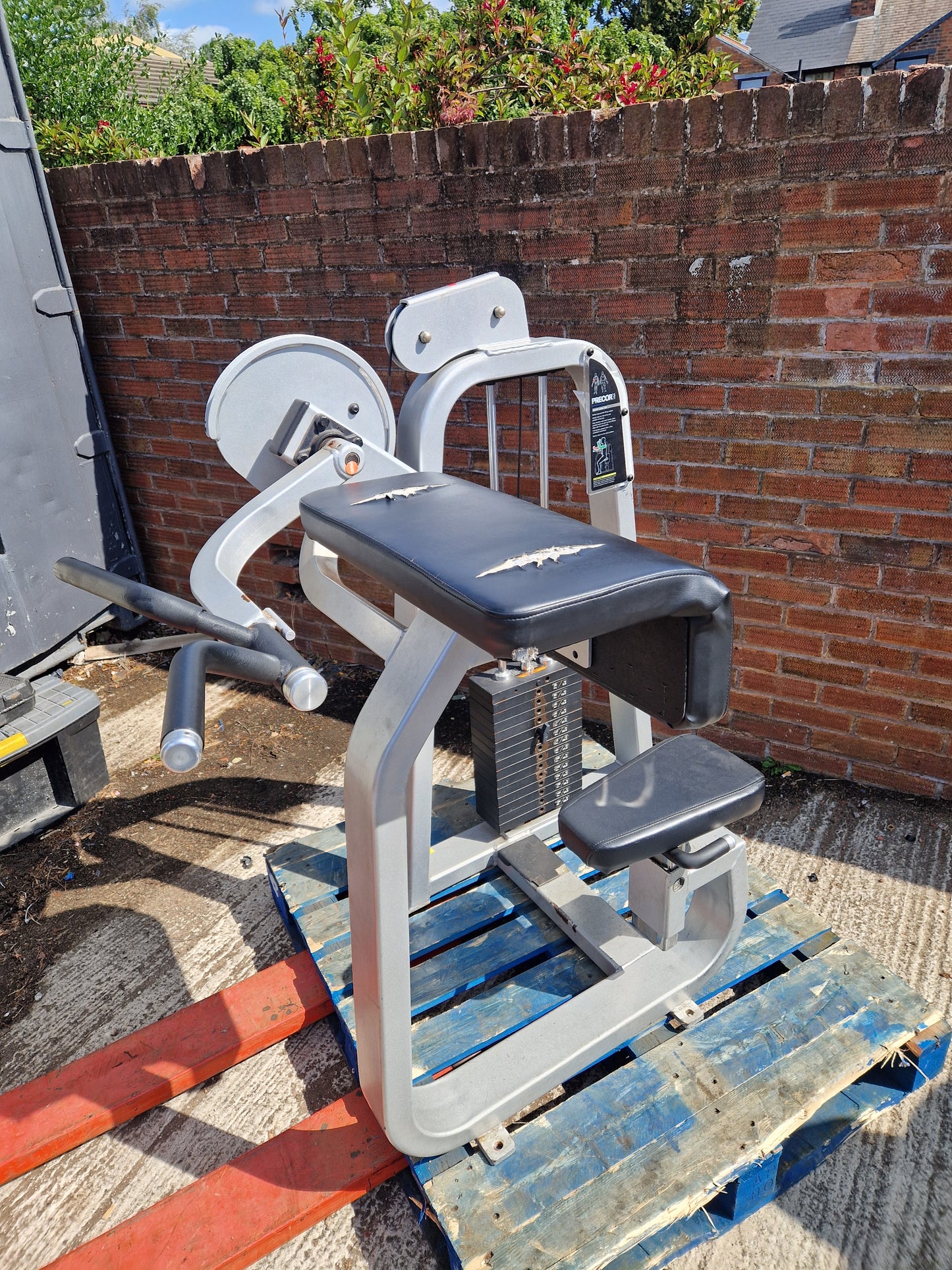 Precor Icarian Bicep Curl Machine Commercial Gym Equipment
