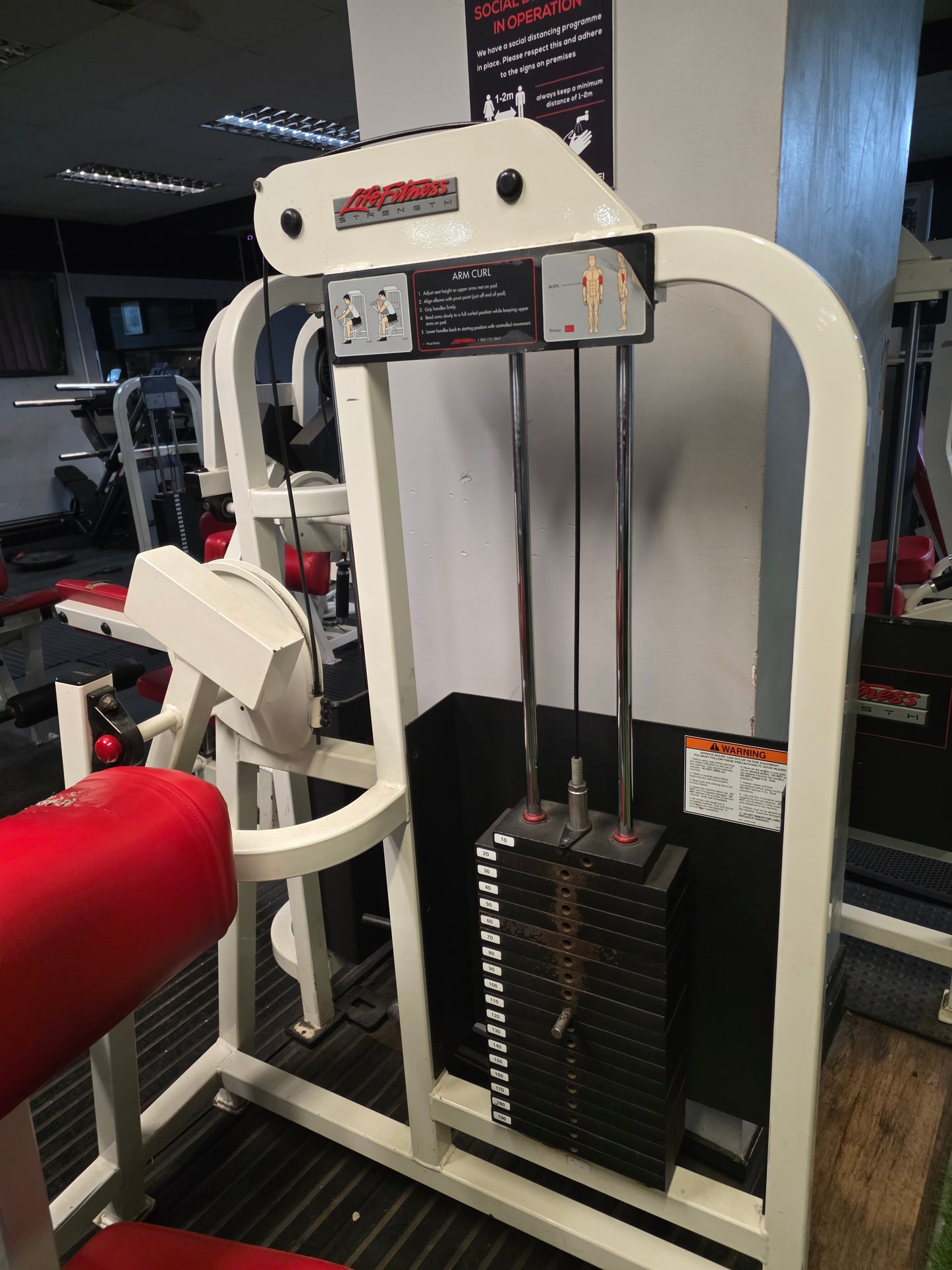Life Fitness Pro 1 Bicep Curl Machine Commercial Gym Equipment