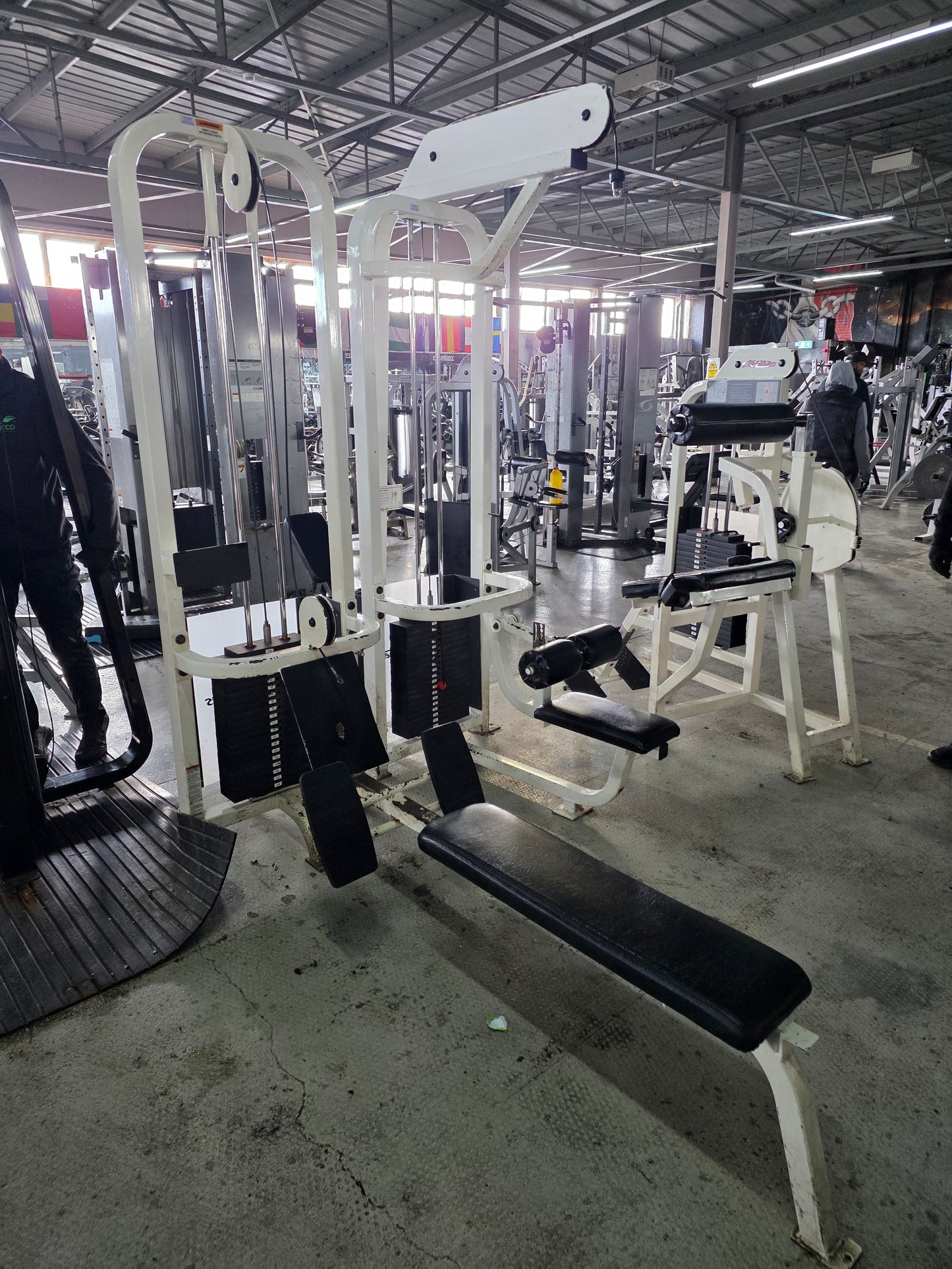 Life Fitness Pro 1 Low Row Machine 140kg Stack Commercial Gym Equipment