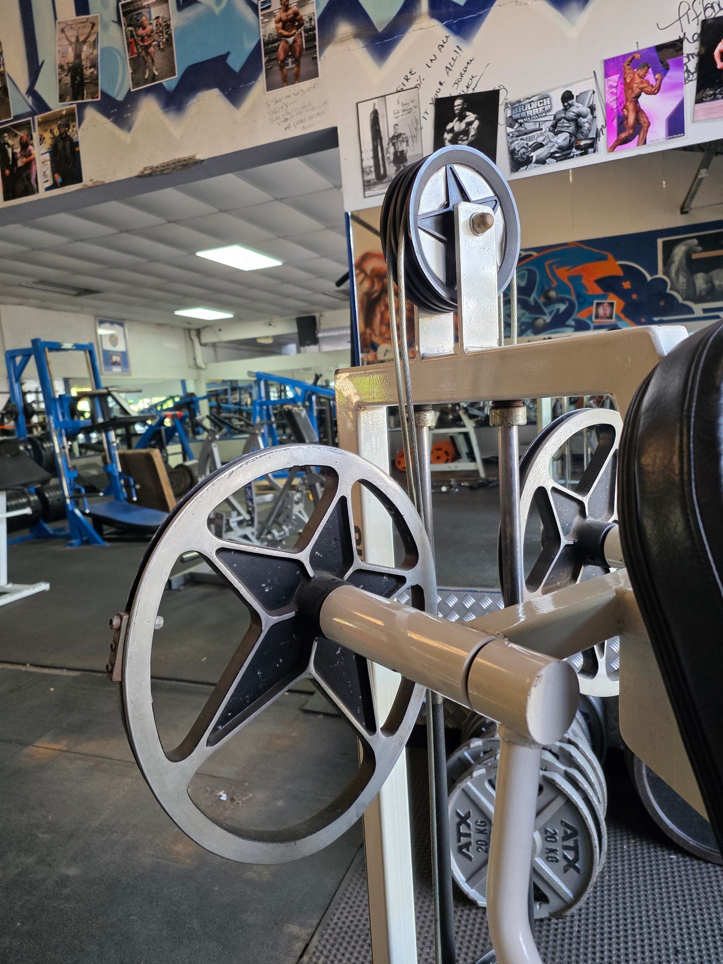 Polaris Lateral Raise Machine Commercial Gym Equipment