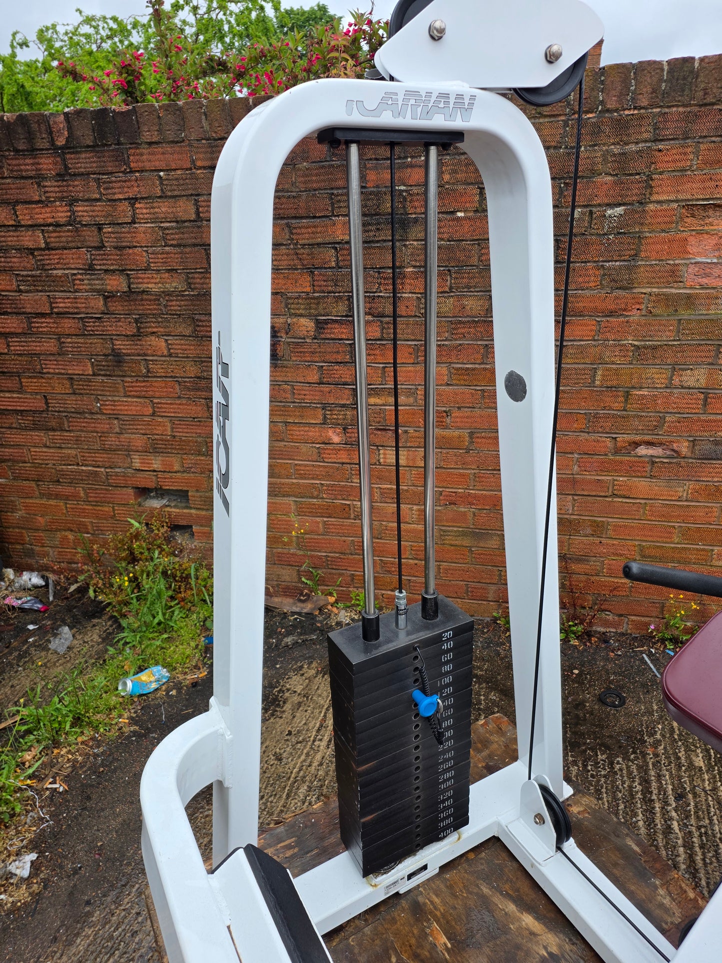 Precor Icarian Horizontal Calf Machine Commercial Gym Equipment