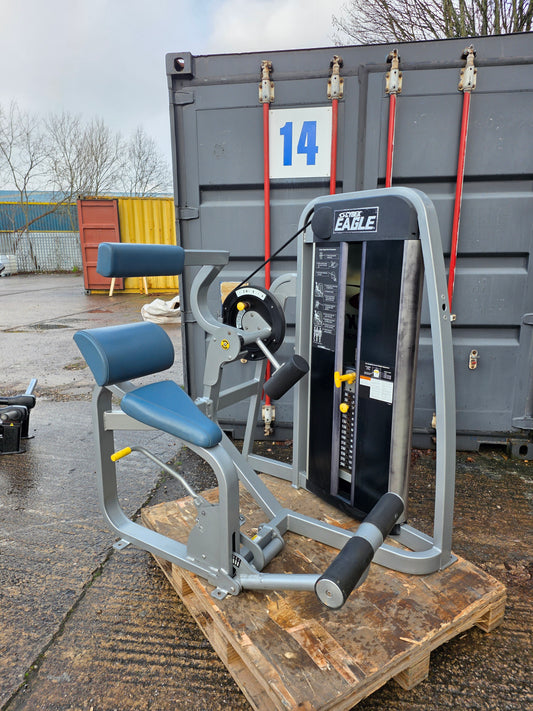 Cybex Eagle Lower Back Extension Machine Commercial Gym Equipment