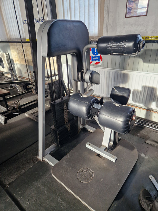 Nautilus Lower Back Extension Machine 1st Gen Commercial Gym Equipment