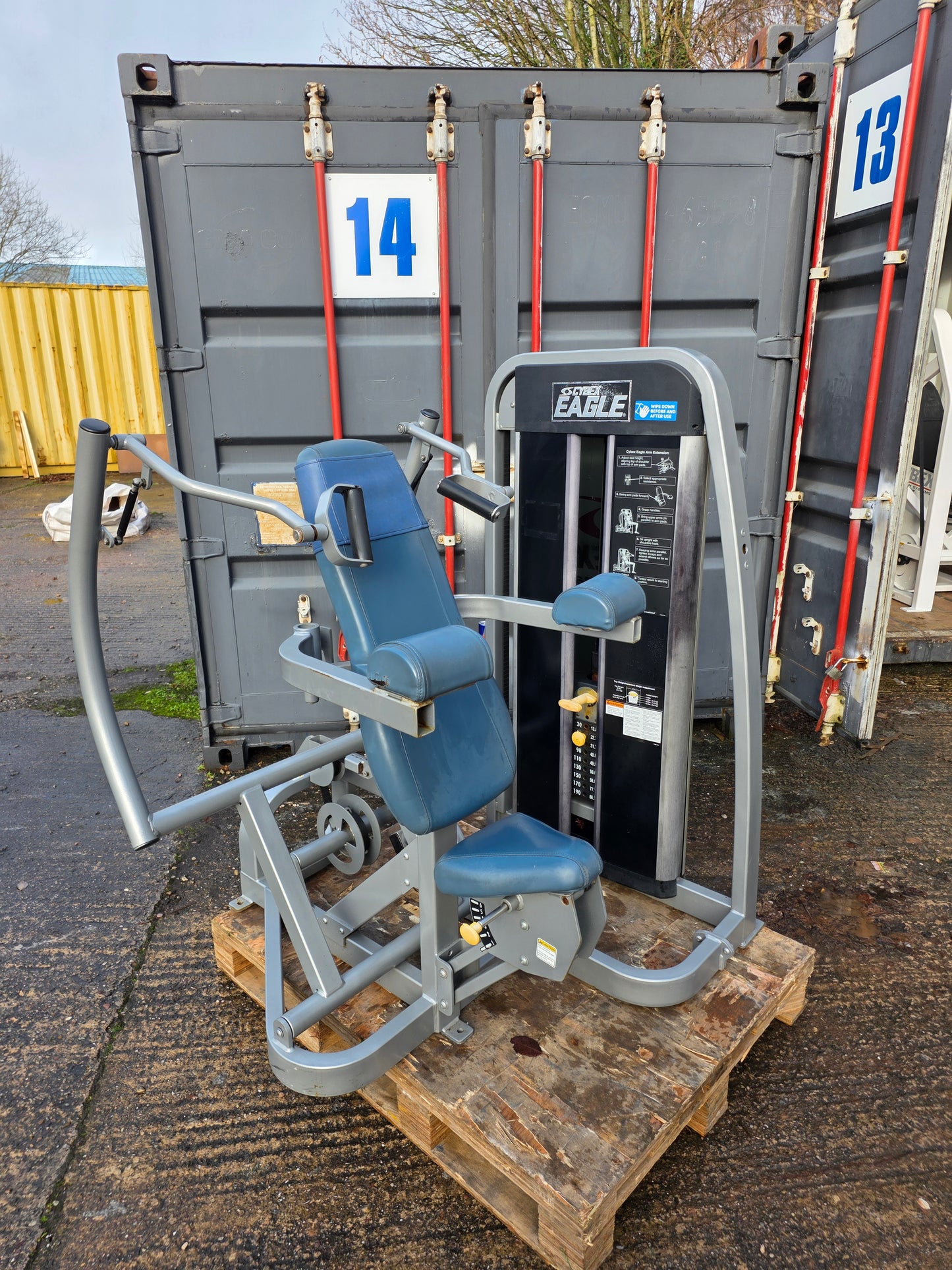 Cybex Eagle Tricep Extension Machine Commercial Gym Equipment