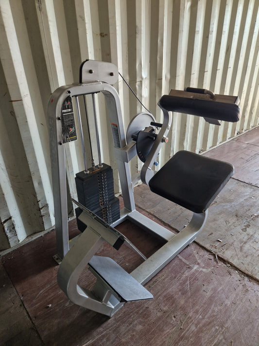 Precor Icarian Back Extension Machine Commercial Gym Equipment