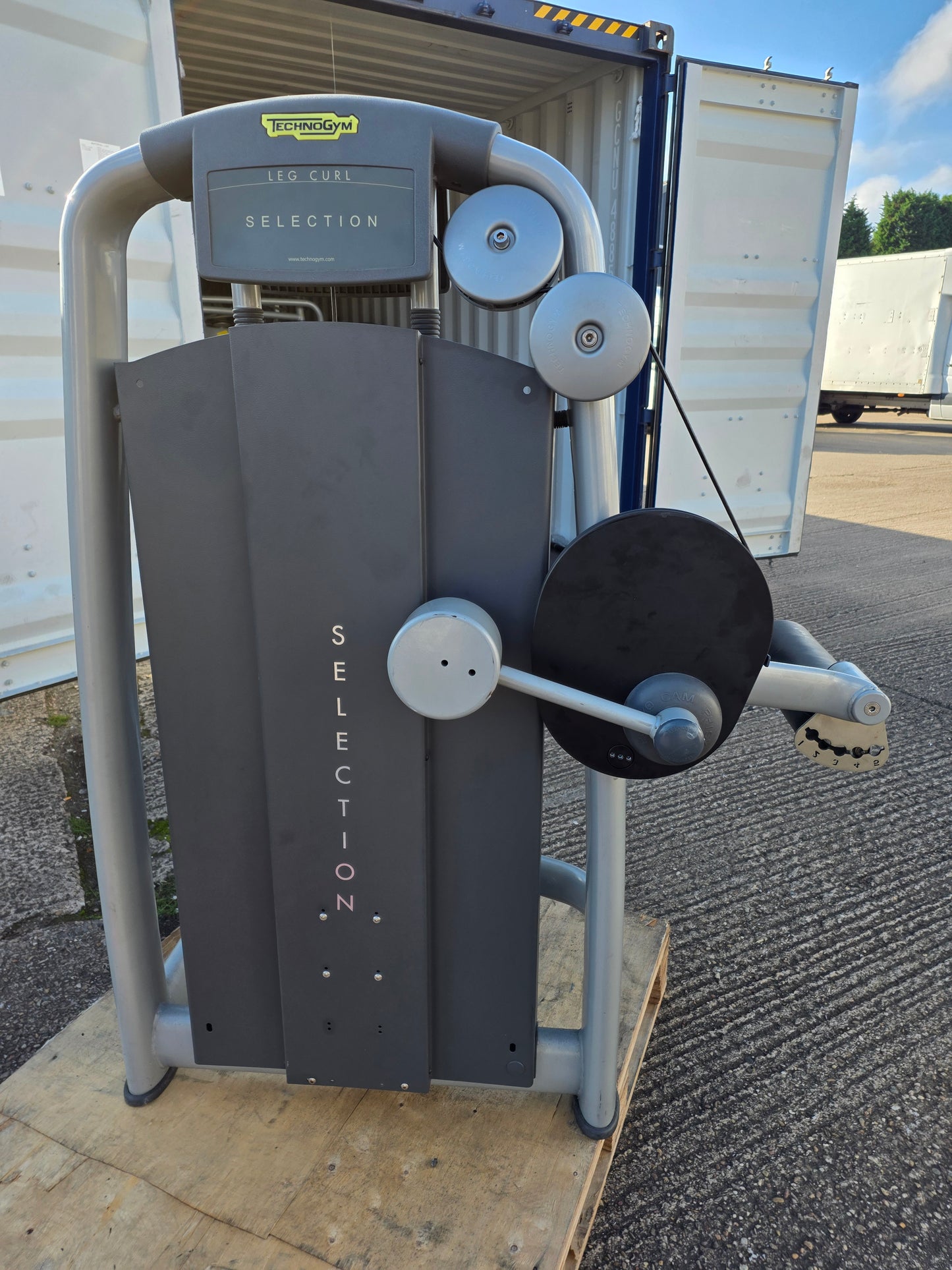 Technogym Hamstring Curl Machine Commercial Gym Equipment