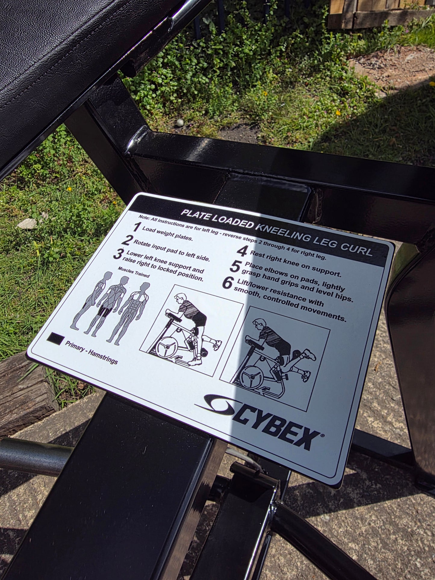Cybex OG Kneeling Hamstring Curl Machine Commercial Gym Equipment
