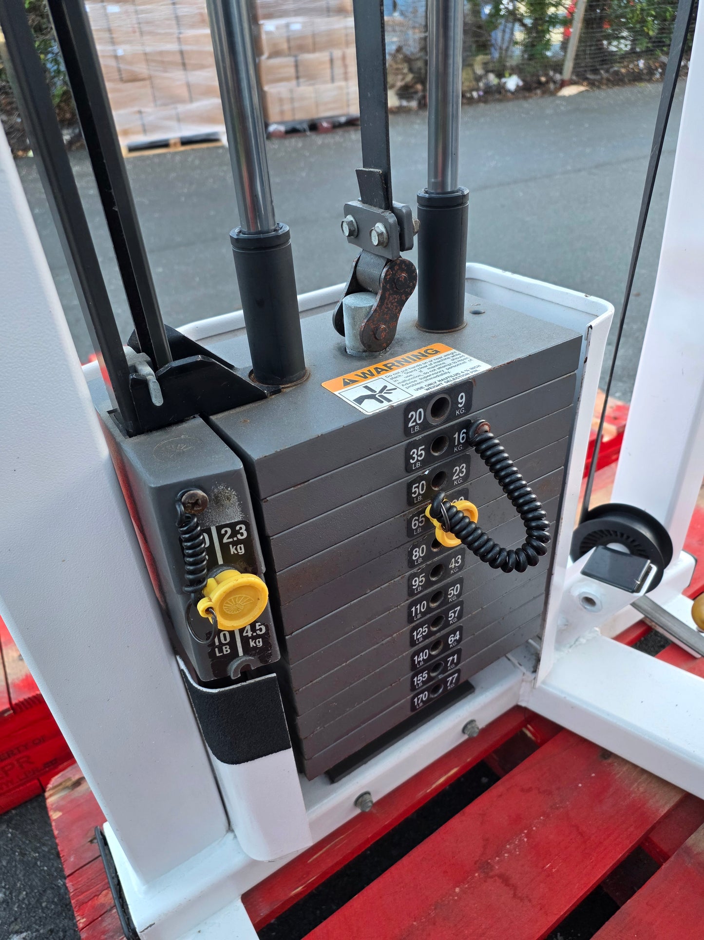 Nautilus Nitro Bicep Curl Machine Commercial Gym Equipment